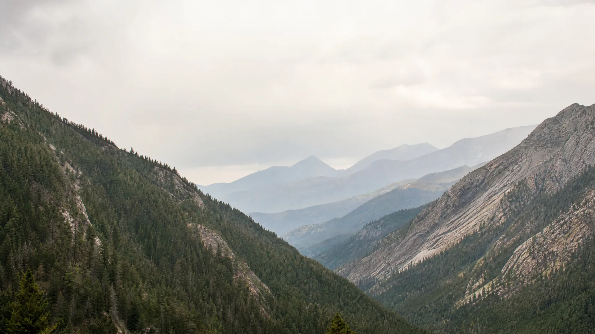 A hazy mountain valley with conifer-covered slopes in the foreground and layered ridges fading into pale sky.