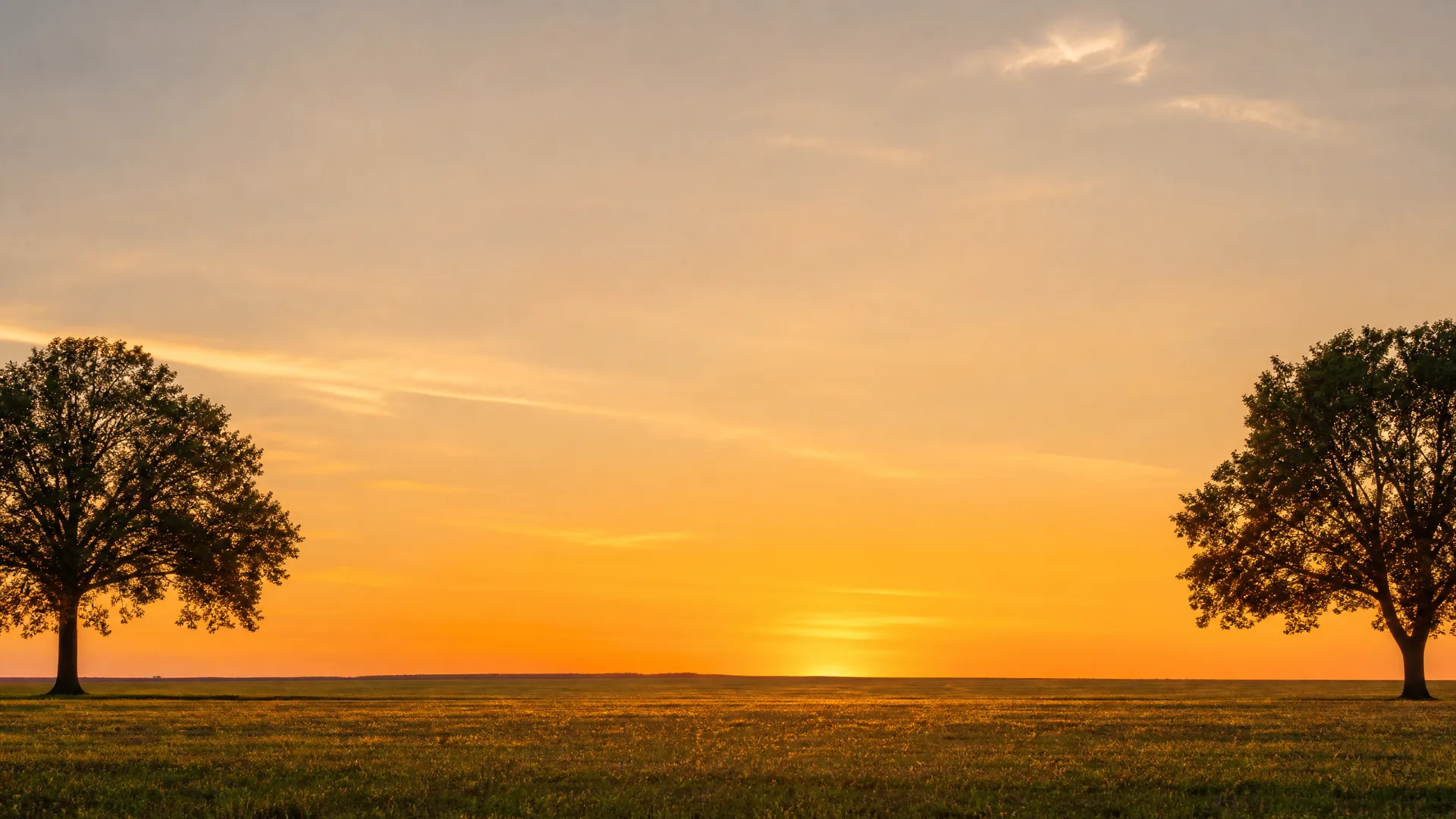 Two broad silhouetted trees stand at opposite edges of a flat grassy field under an orange sky at sunset, with the sun low on the horizon between them.