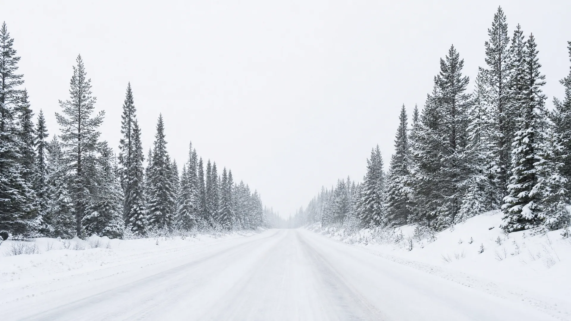 A snow-covered straight road running between rows of snow-laden conifer trees under a pale overcast sky.