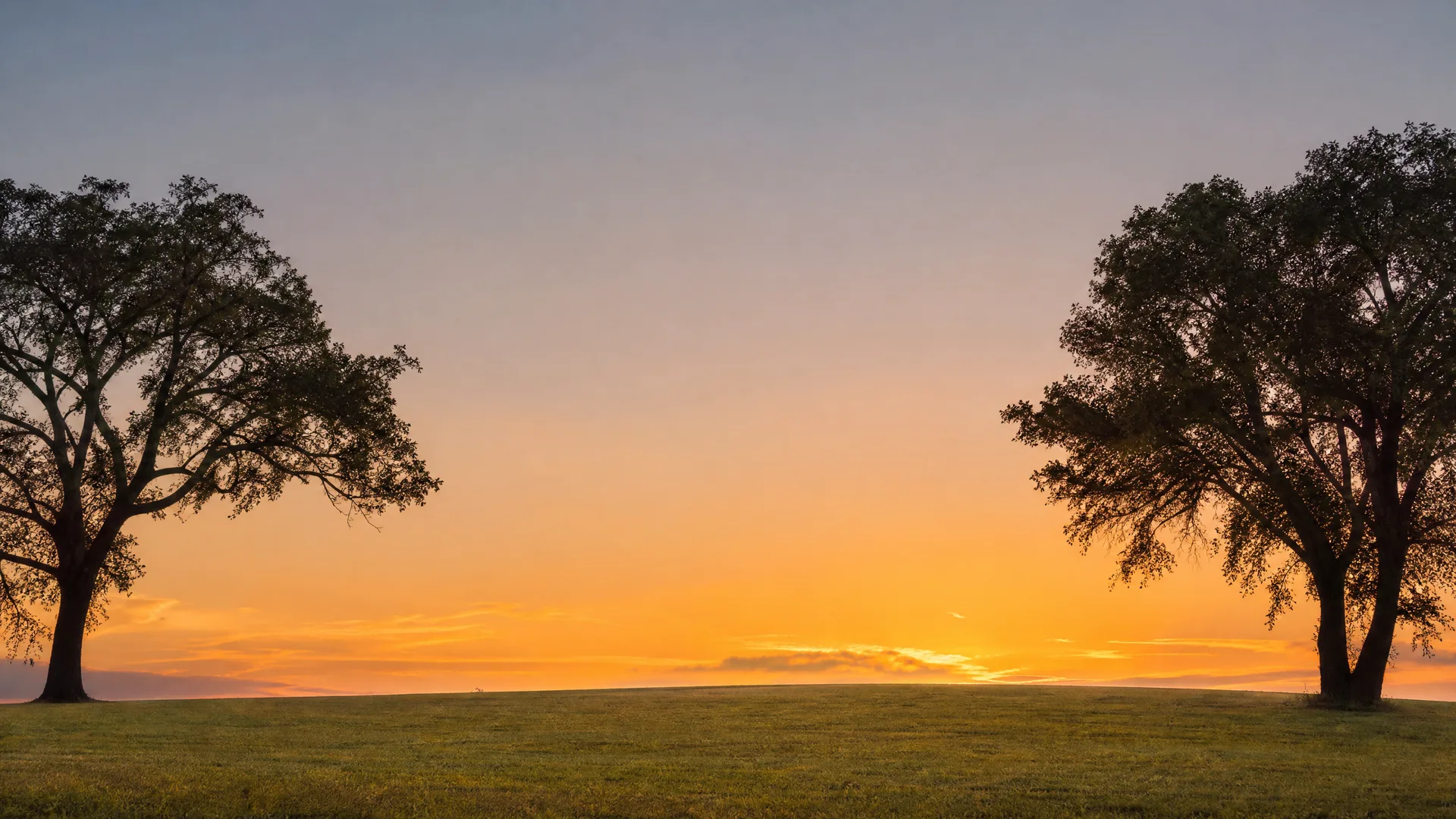 Two large silhouetted trees frame the left and right edges of a grassy field under an orange and blue sky at sunset.