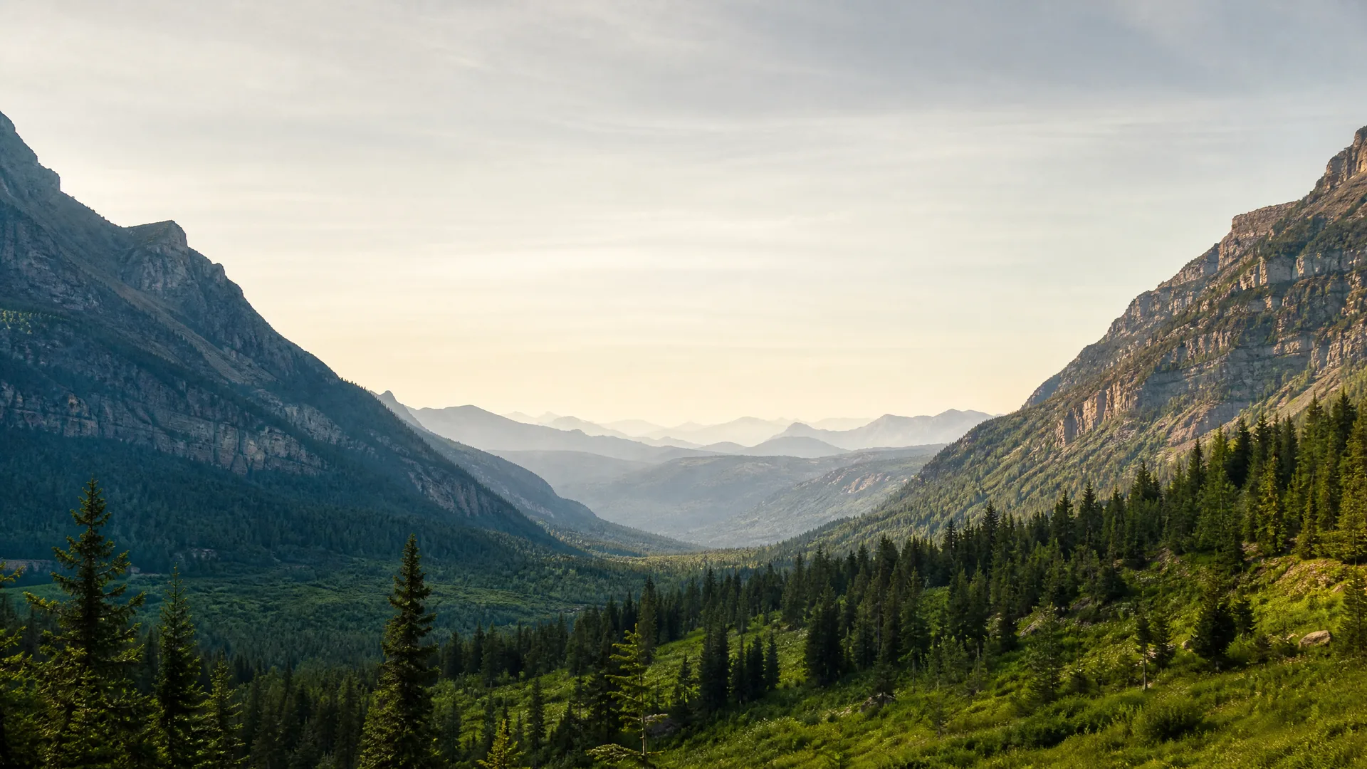 A broad glacial valley flanked by steep rocky ridges, with conifer forest and grassy slopes in the foreground and hazy layered mountain ridges on the horizon under a pale sky.