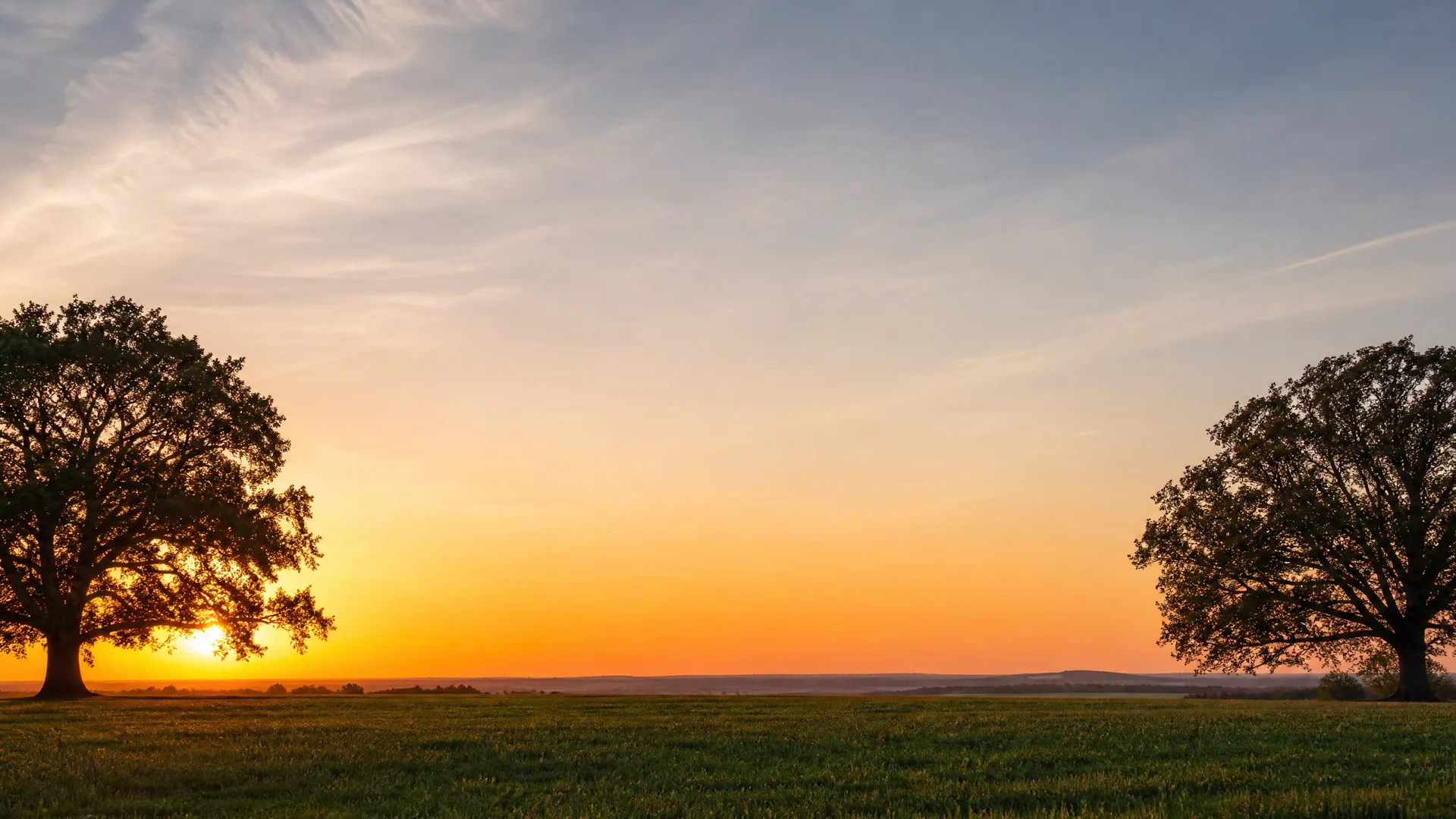 Two large broadleaf trees stand at opposite edges of a flat grassy field under an orange and blue sky at sunset, with a low distant horizon between them.