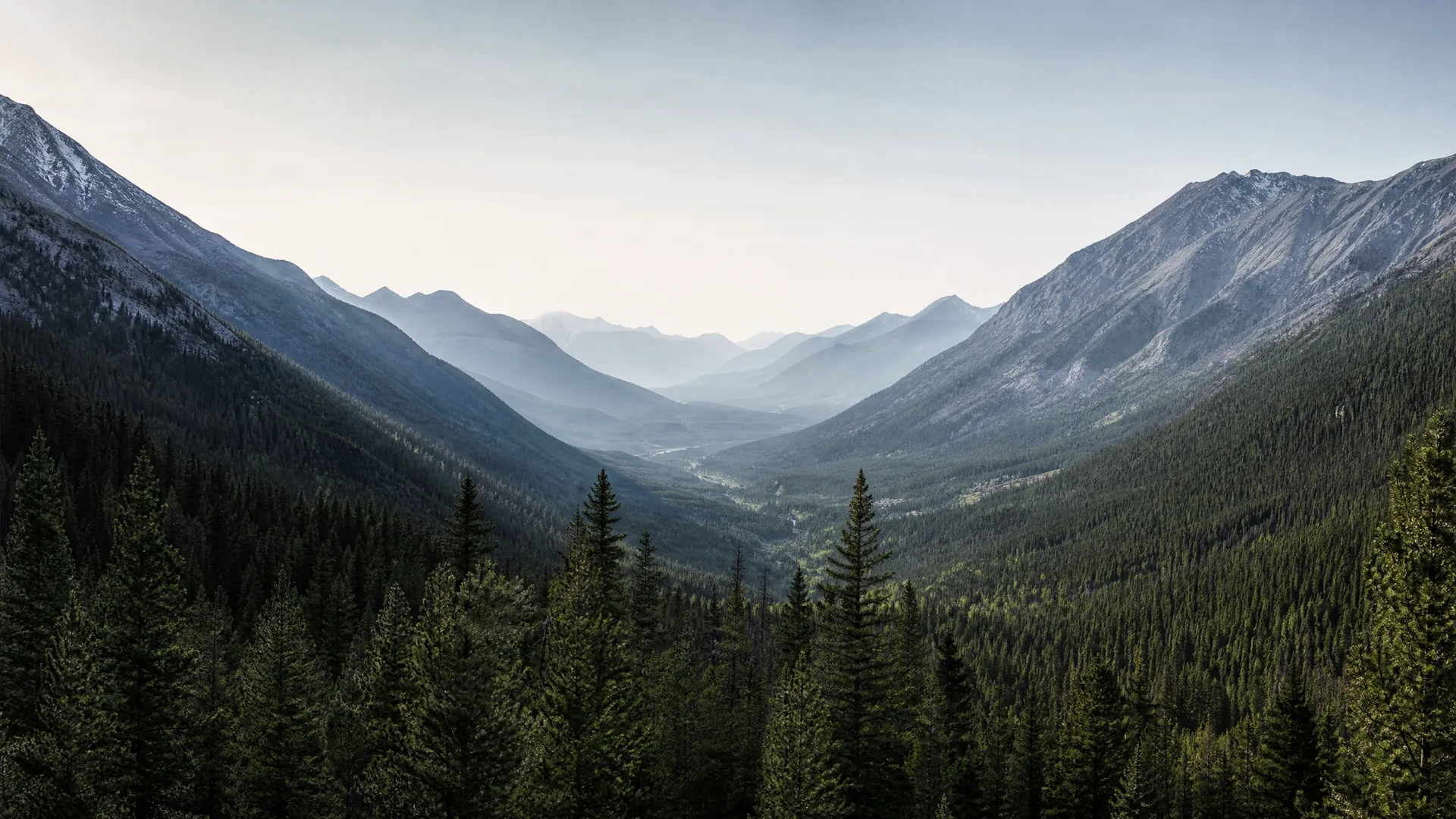 A hazy mountain valley flanked by steep ridges, with dense conifer forest in the foreground and receding peaks under a pale sky.