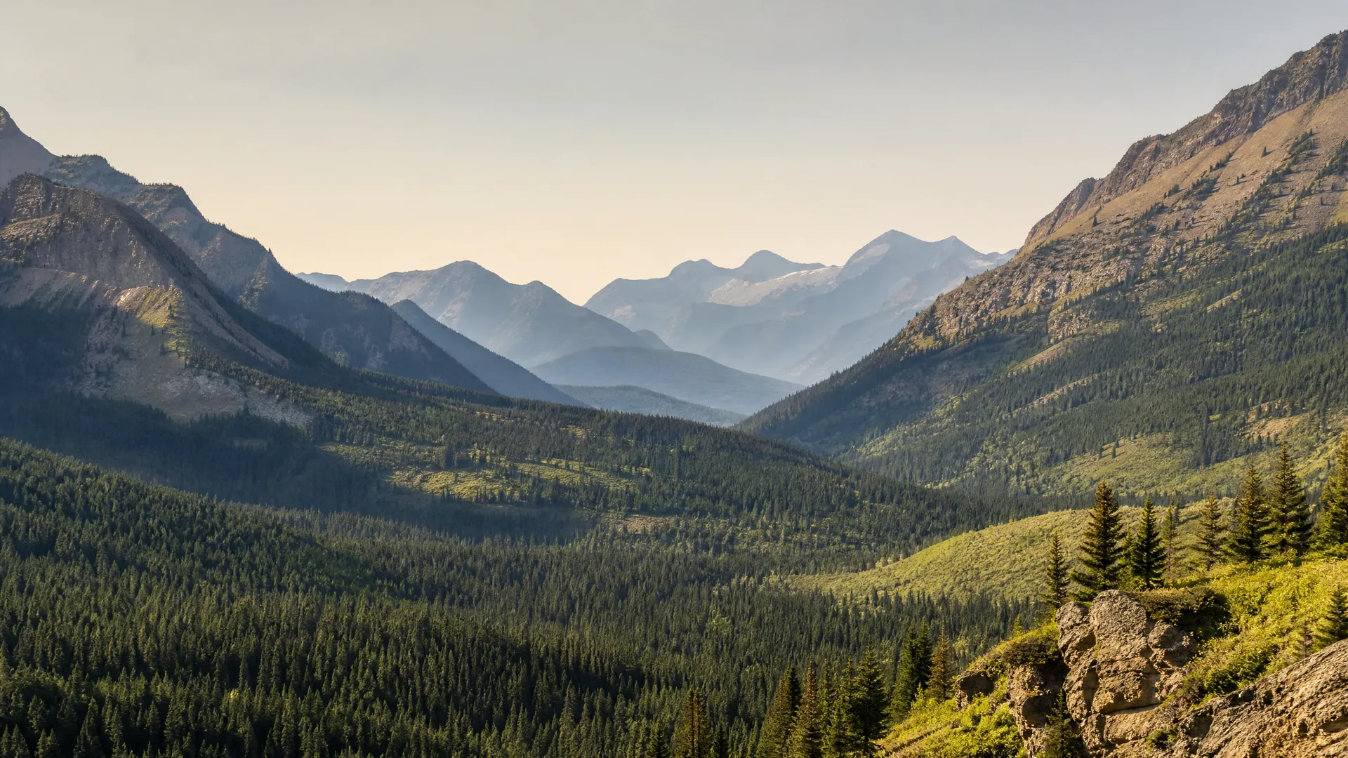 A forested mountain valley with dense conifer stands on the slopes, rocky outcrops in the right foreground, and layered hazy peaks receding under a pale sky.