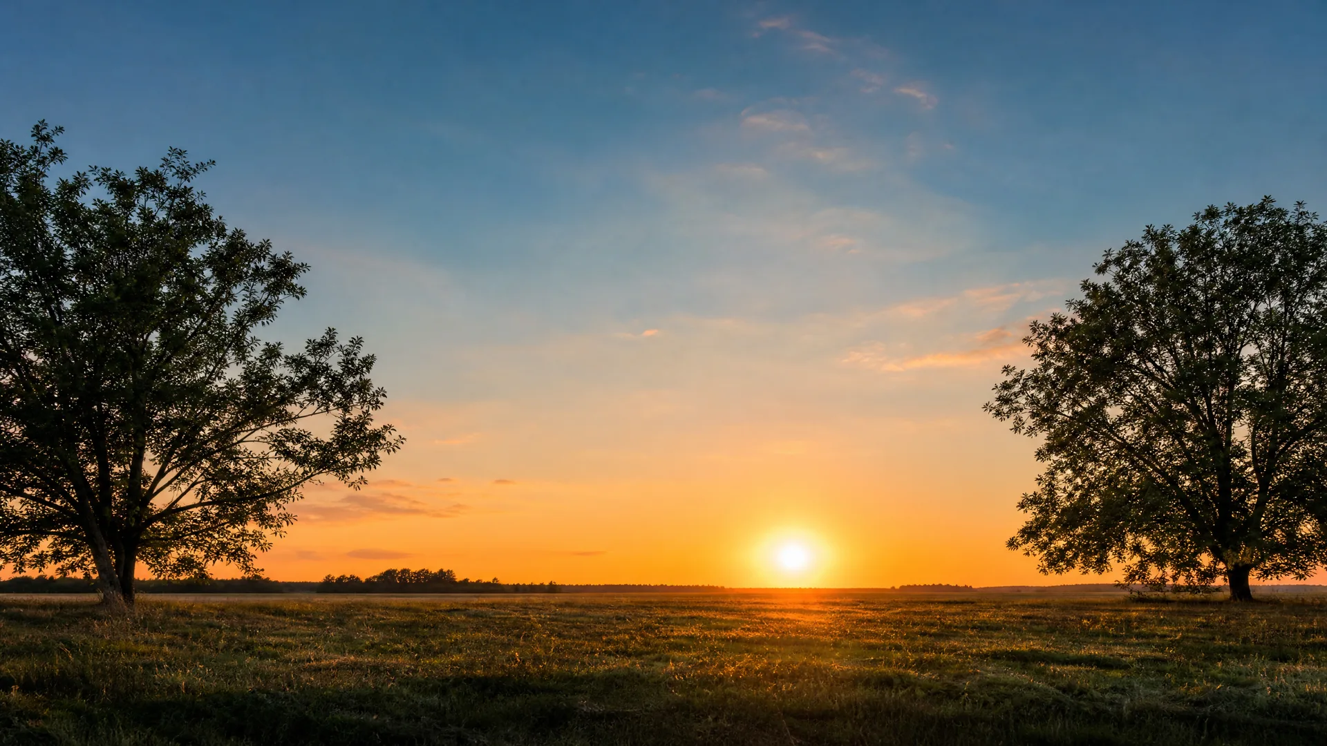 A flat grassy field at sunset with the sun low on the horizon, flanked by two large broadleaf trees in silhouette under a clear blue and orange sky.