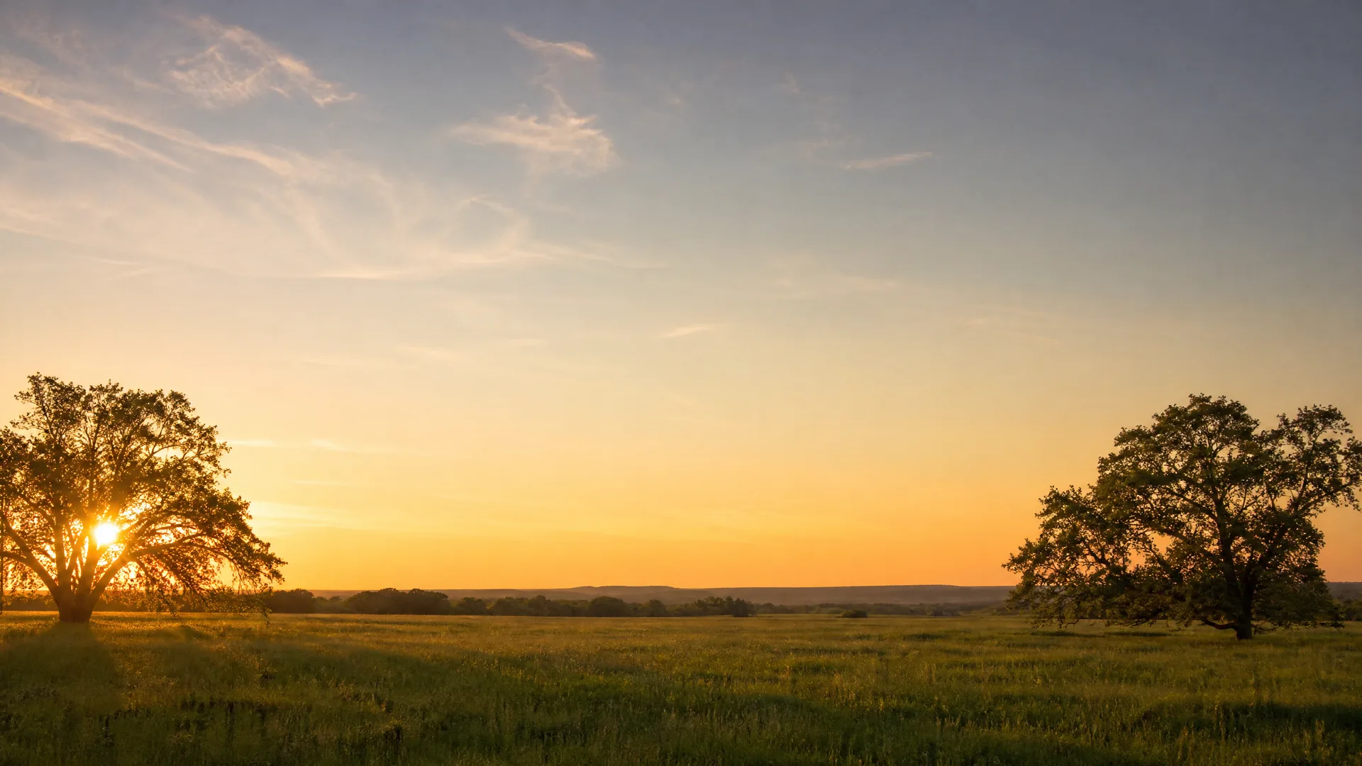 A grassy meadow with two large broadleaf trees silhouetted against an orange and blue sky at sunset, with a low tree line on the distant horizon.