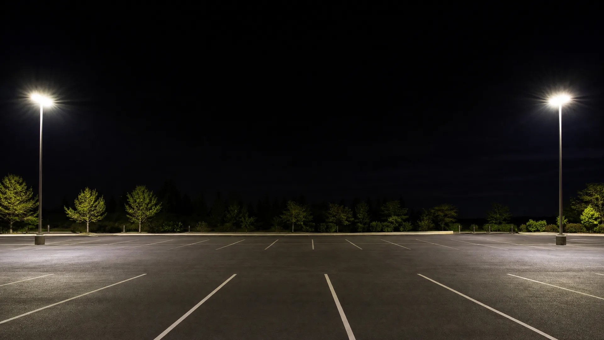 An empty asphalt parking lot at night with painted white stall lines, lit by two tall light poles, bordered by a row of trees under a black sky.