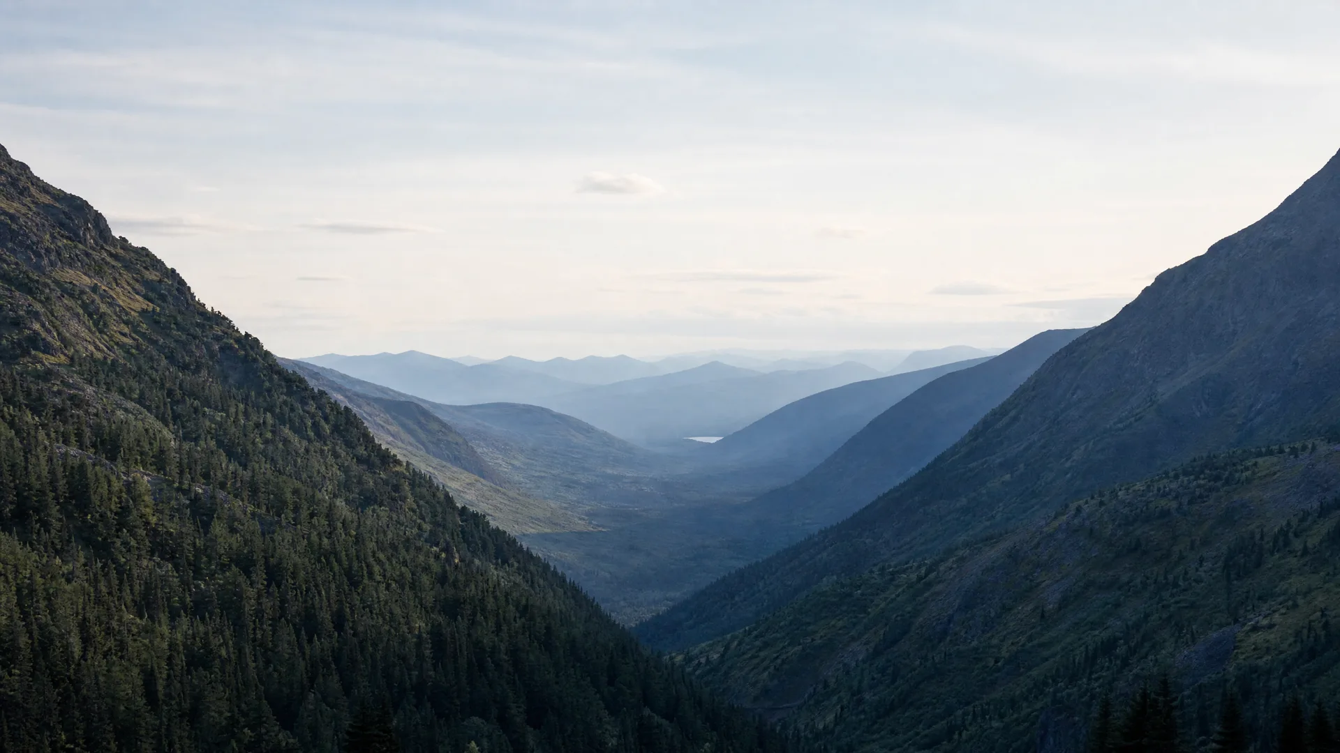 A hazy mountain valley flanked by conifer-covered slopes, with receding ridgelines and a small body of water in the distance under a pale sky.