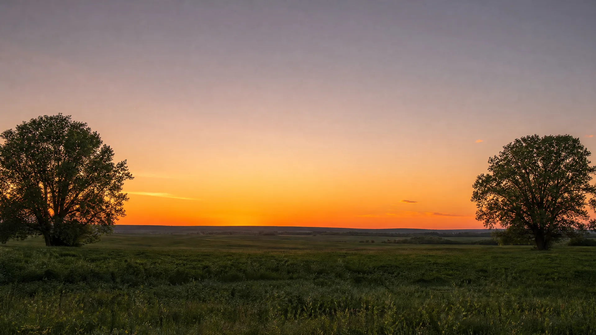 A flat grassy field with two large silhouetted trees on the left and right edges under an orange and purple sky at twilight.