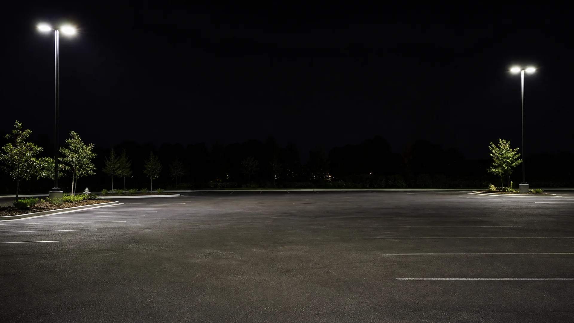 An empty asphalt parking lot at night lit by two tall light poles, with painted white stall lines and small trees along the edges.