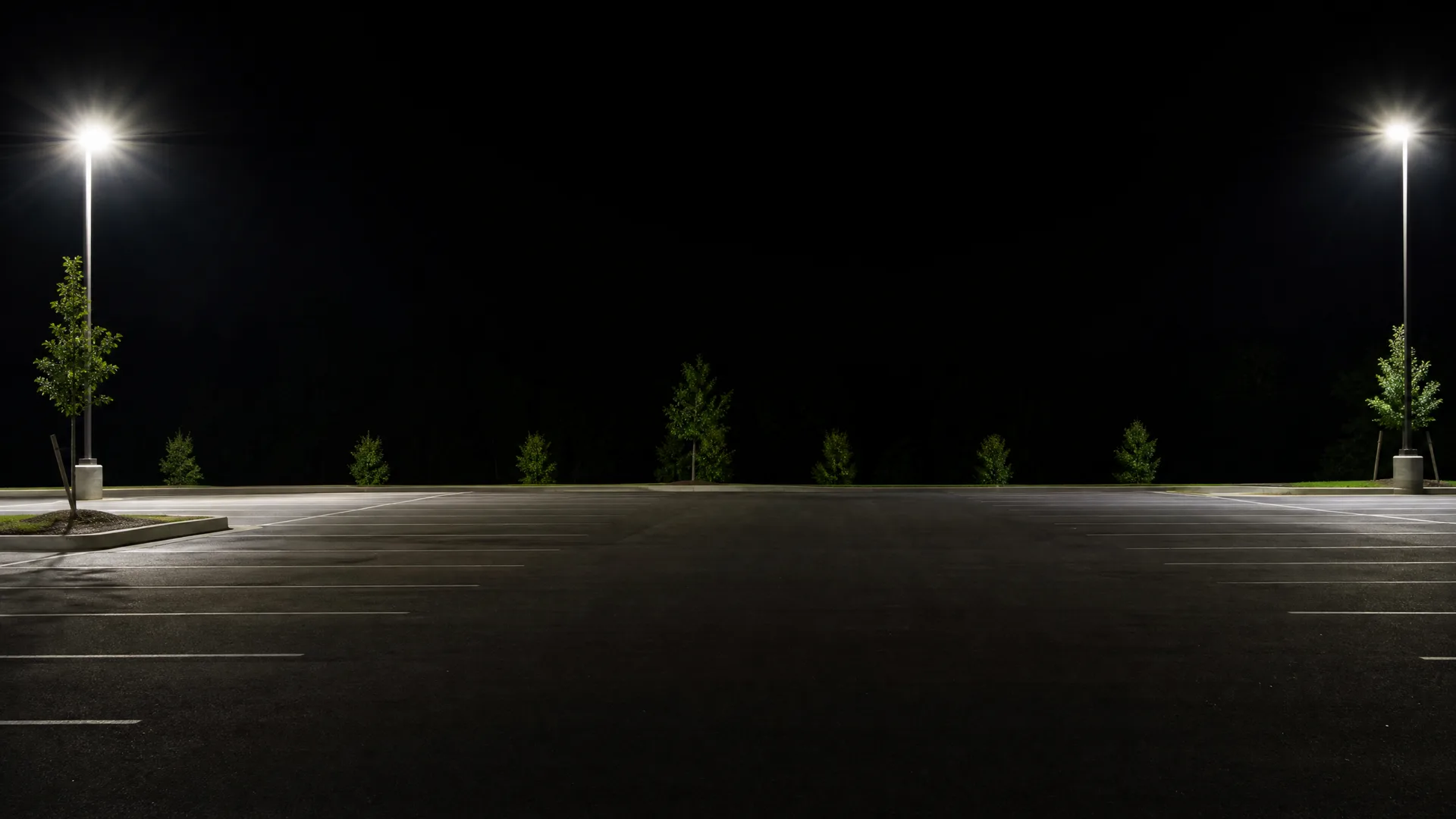 An empty asphalt parking lot at night with painted white stall lines, lit by two tall light poles at left and right, with small trees and shrubs along a dark treeline in the background.