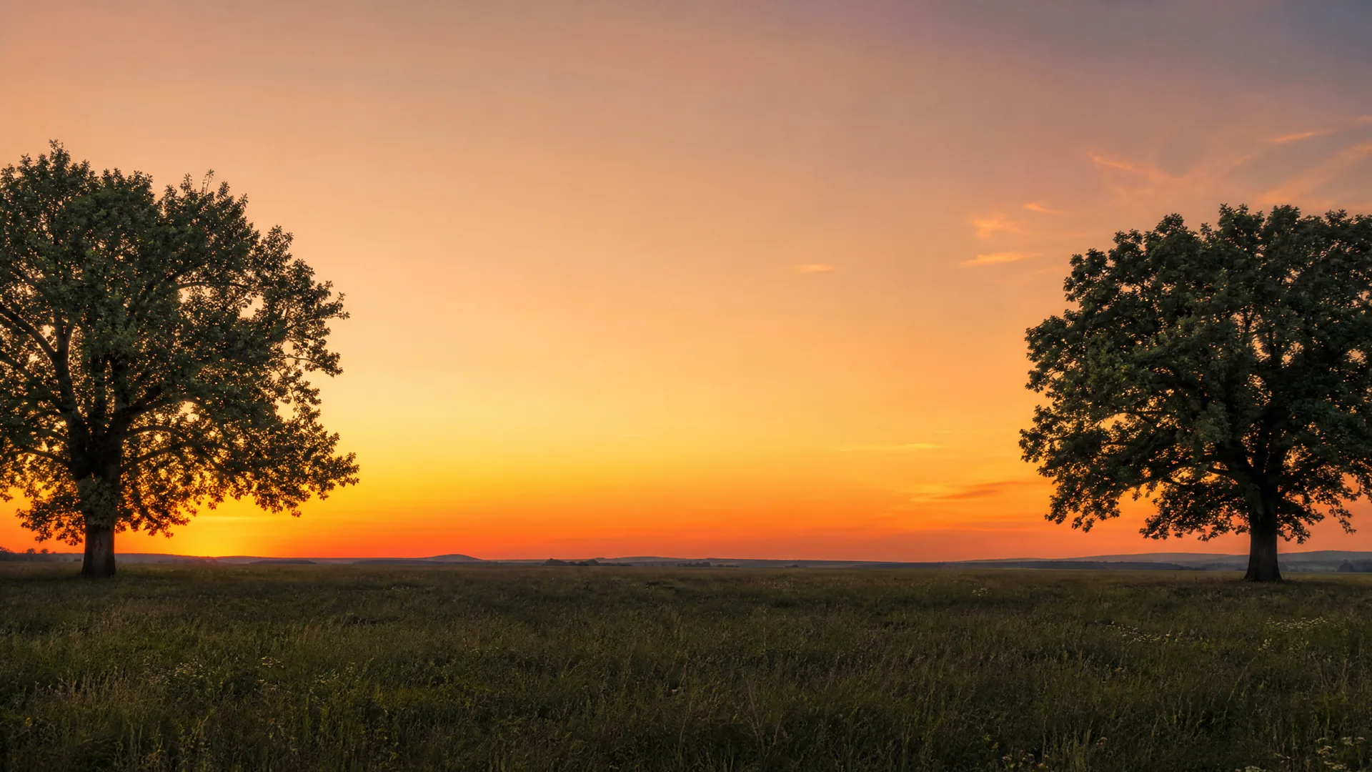 Two broad-crowned deciduous trees stand at opposite edges of a grassy field under an orange and yellow sky at sunset, with a low flat horizon between them.