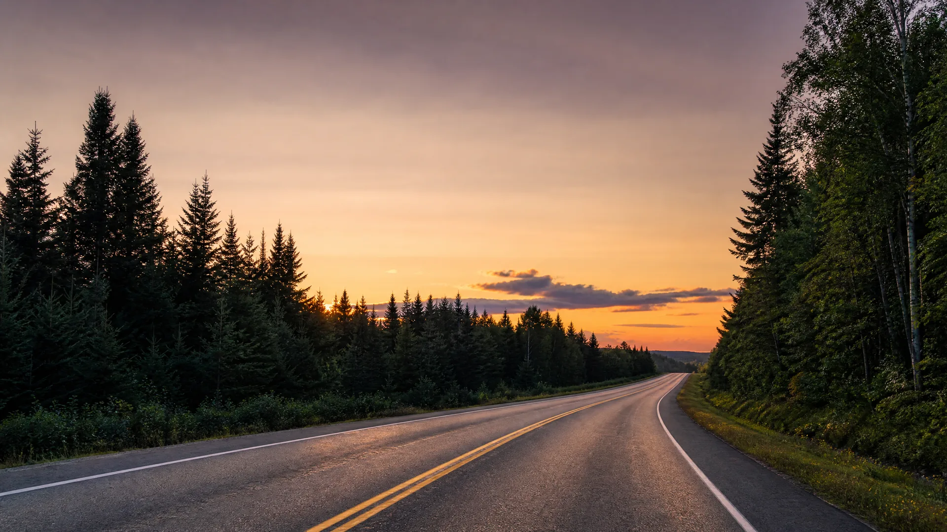 A two-lane asphalt road with double yellow center lines curving through dense conifer forest at sunset under an orange and gray sky.