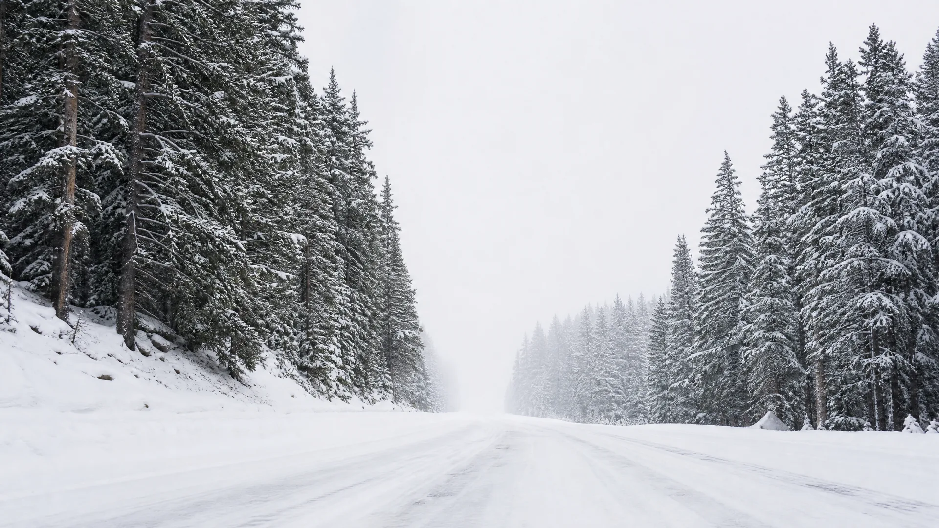 A snow-covered road runs straight into fog between rows of snow-laden evergreen trees under an overcast white sky.