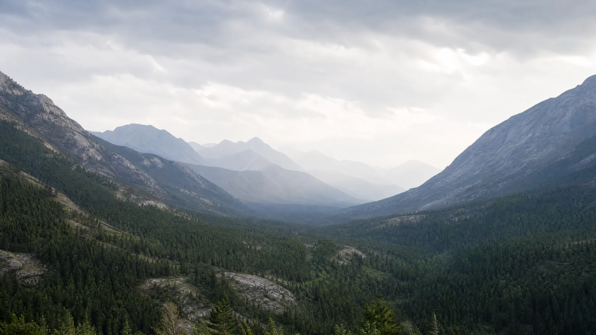 A forested valley of dense conifers flanked by rocky mountain slopes, with hazy layered ridges and an overcast sky in the distance.