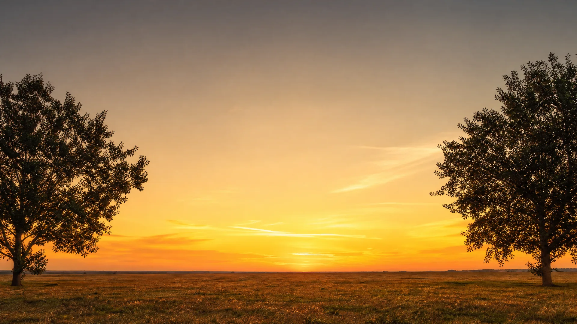 Two broadleaf trees frame the left and right edges of a flat grassy field under an orange and yellow sky at sunset with thin streaked clouds.
