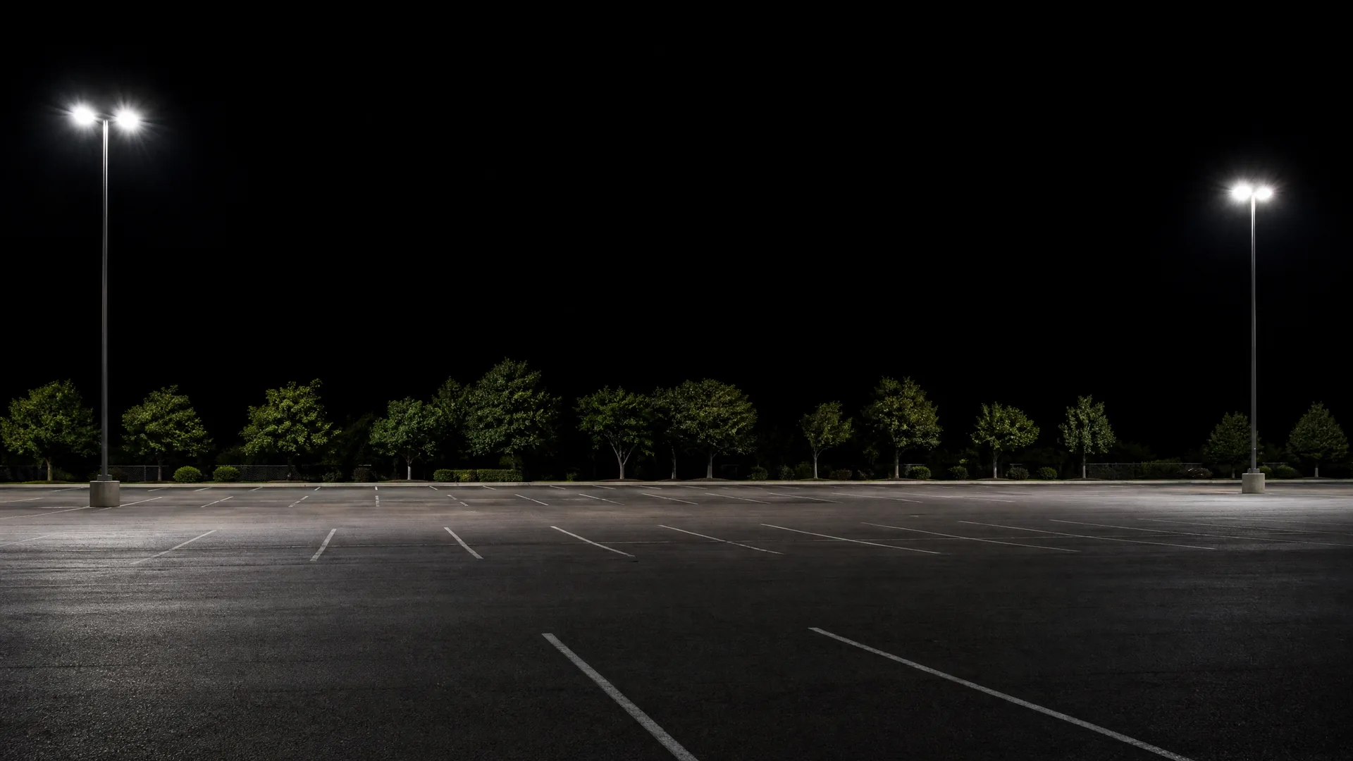 An empty asphalt parking lot at night with painted white stall lines, lit by two tall light poles, bordered by a row of deciduous trees and shrubs under a black sky.