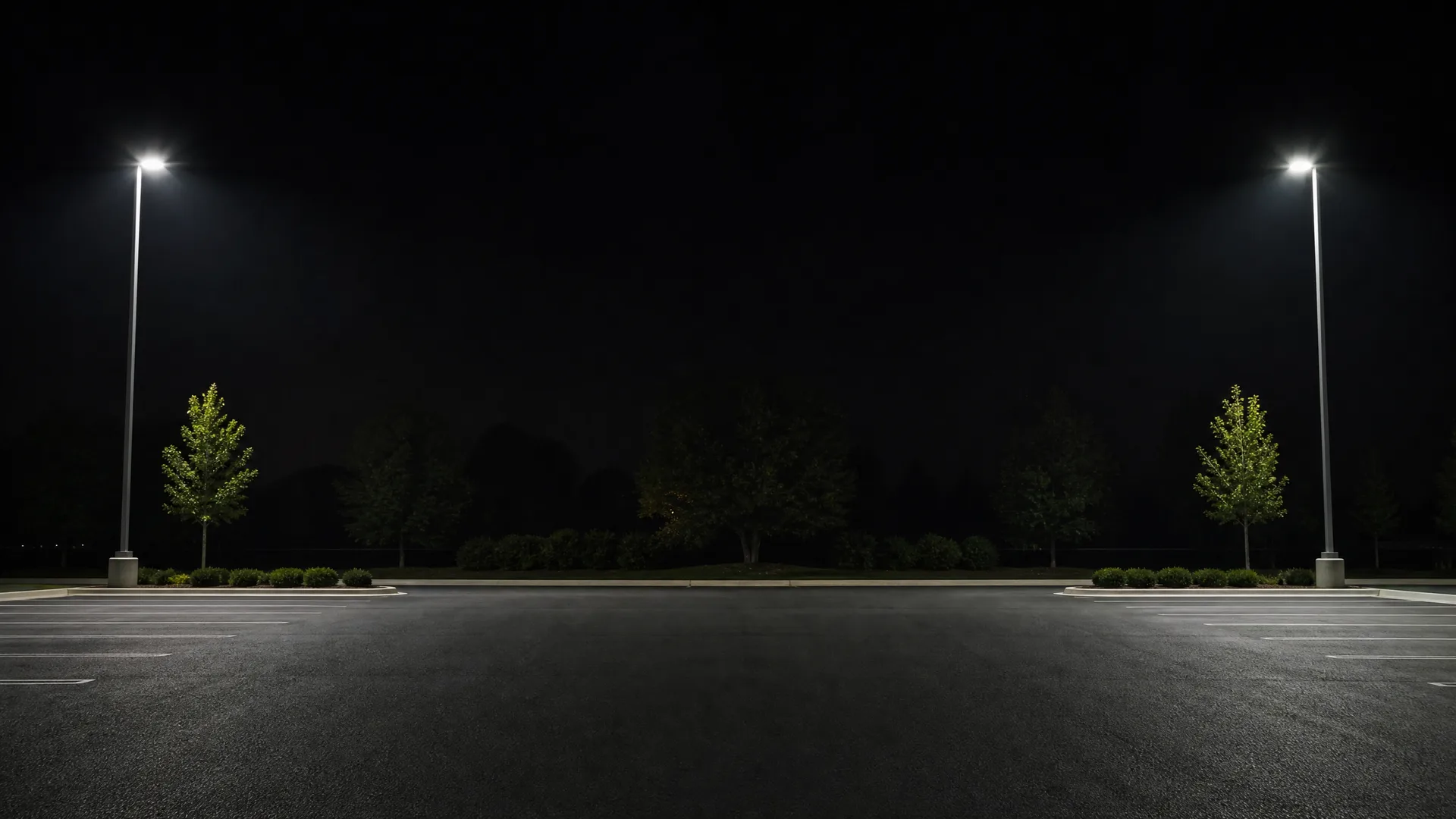 An empty asphalt parking lot at night with painted white stall lines, lit by two tall pole-mounted lights on either side, with small trees and shrubs along the far edge.