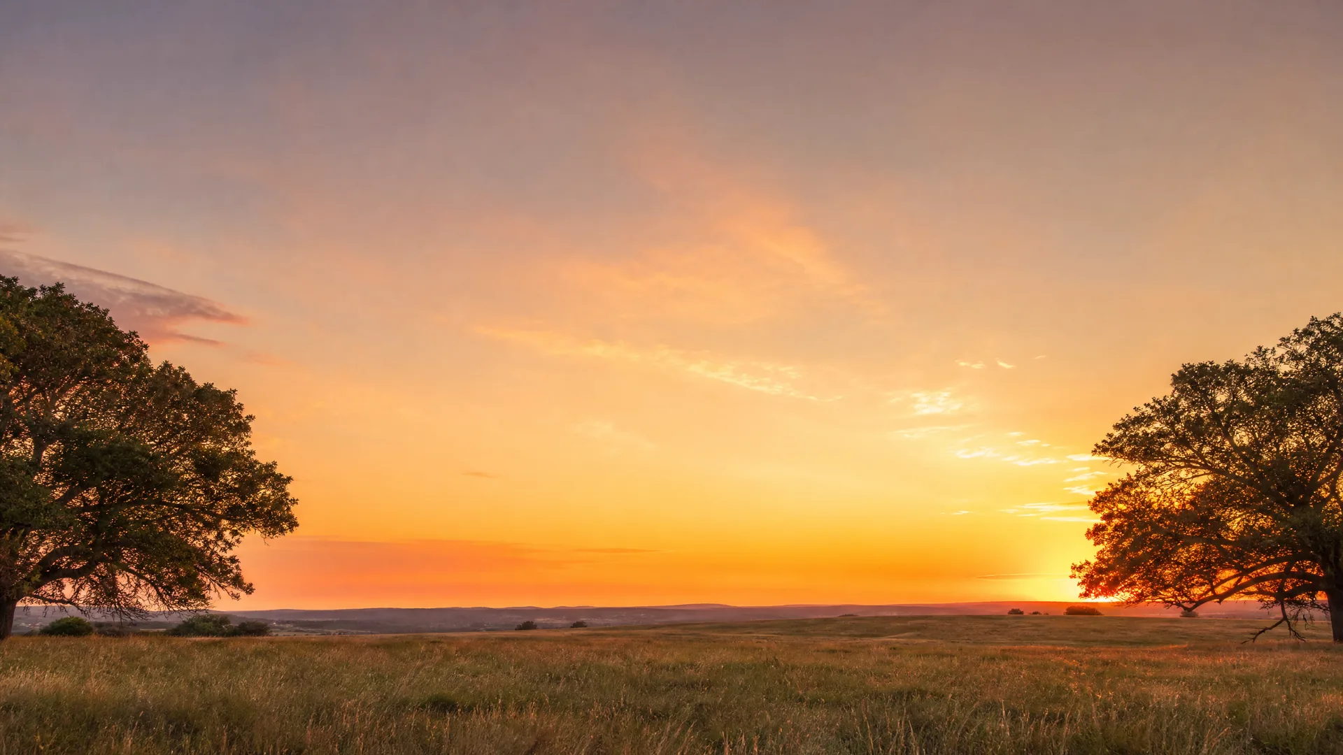 A grassy field with low hills on the distant horizon, flanked by two large broadleaf trees in silhouette, under an orange and pink sky at sunset.