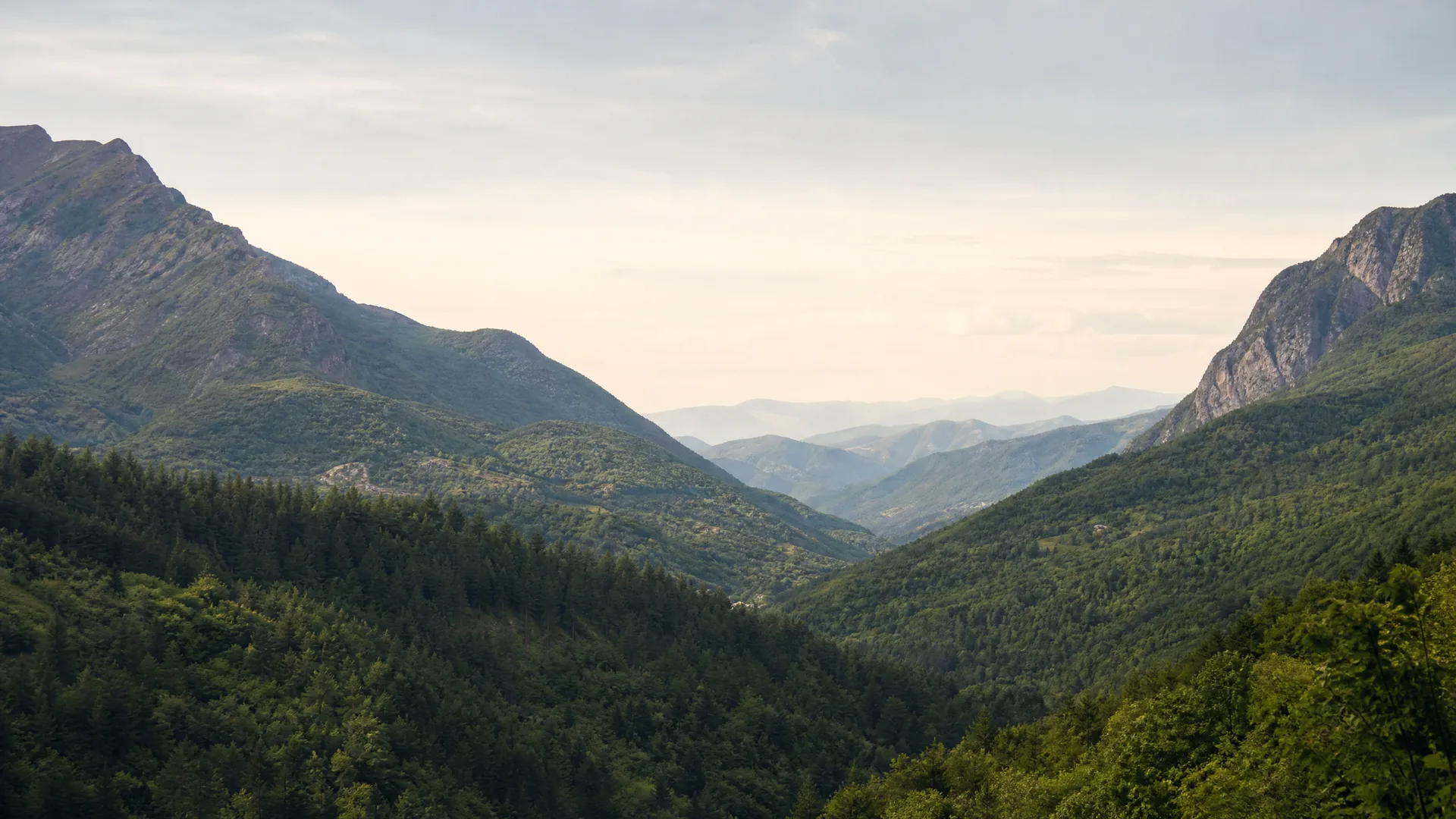 A forested mountain valley with conifer-covered slopes in the foreground and hazy ridgelines receding under a pale sky.