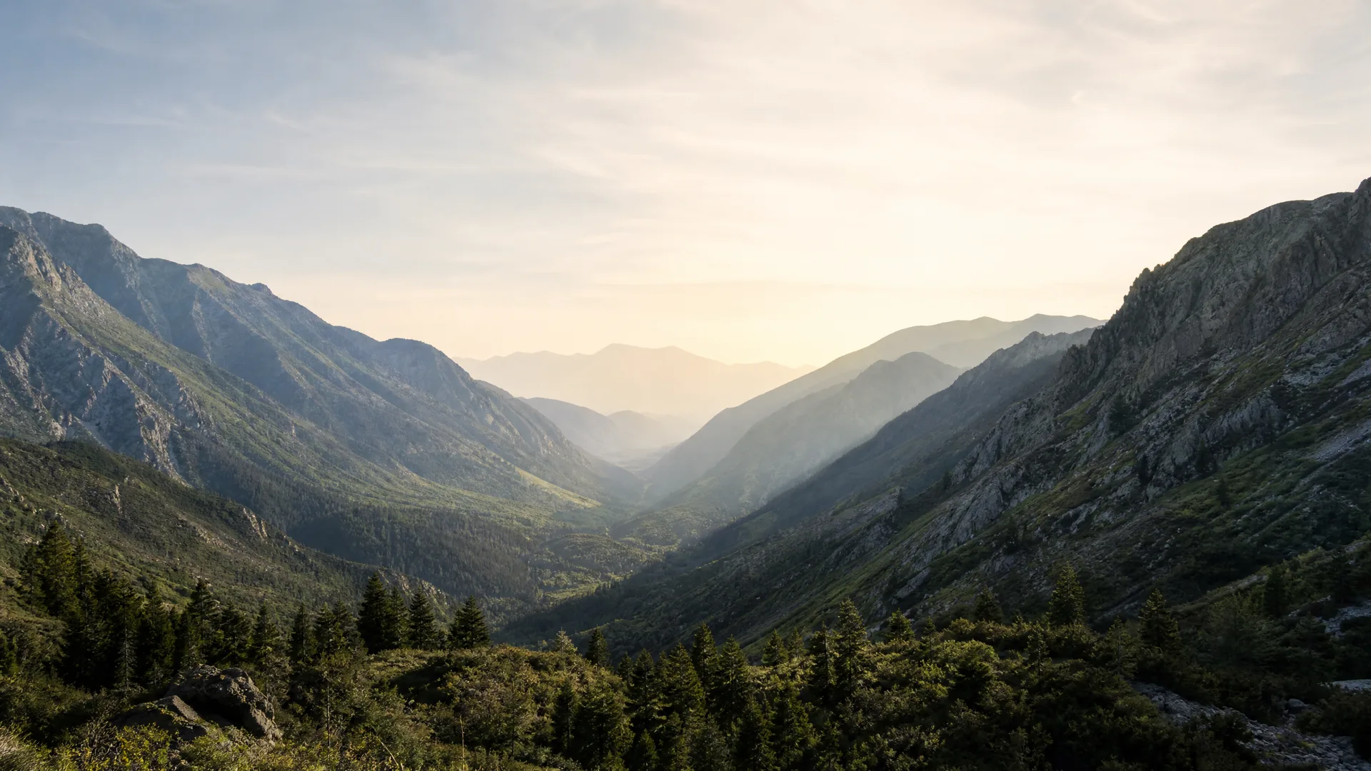 A hazy mountain valley at low sun, with conifer trees and shrubs in the foreground and rocky forested ridges receding toward distant peaks.