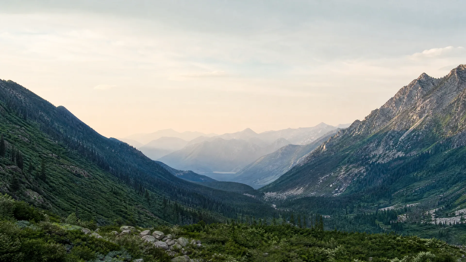 A hazy mountain valley with conifer-covered slopes, rocky ridges on the right, scattered boulders and low shrubs in the foreground, and receding ranges under a pale sky.