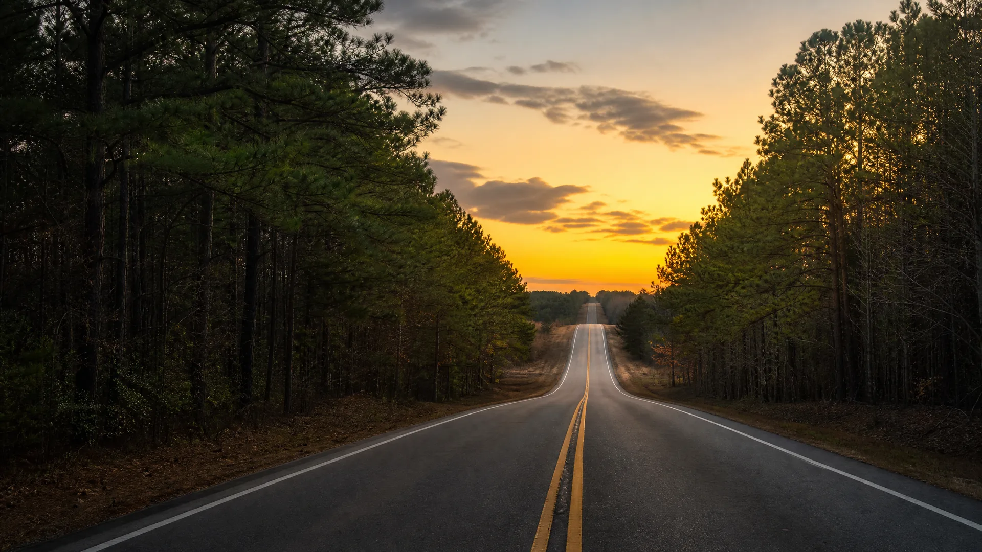 A two-lane road with double yellow center lines runs straight toward the horizon between stands of pine trees under an orange sunset sky.