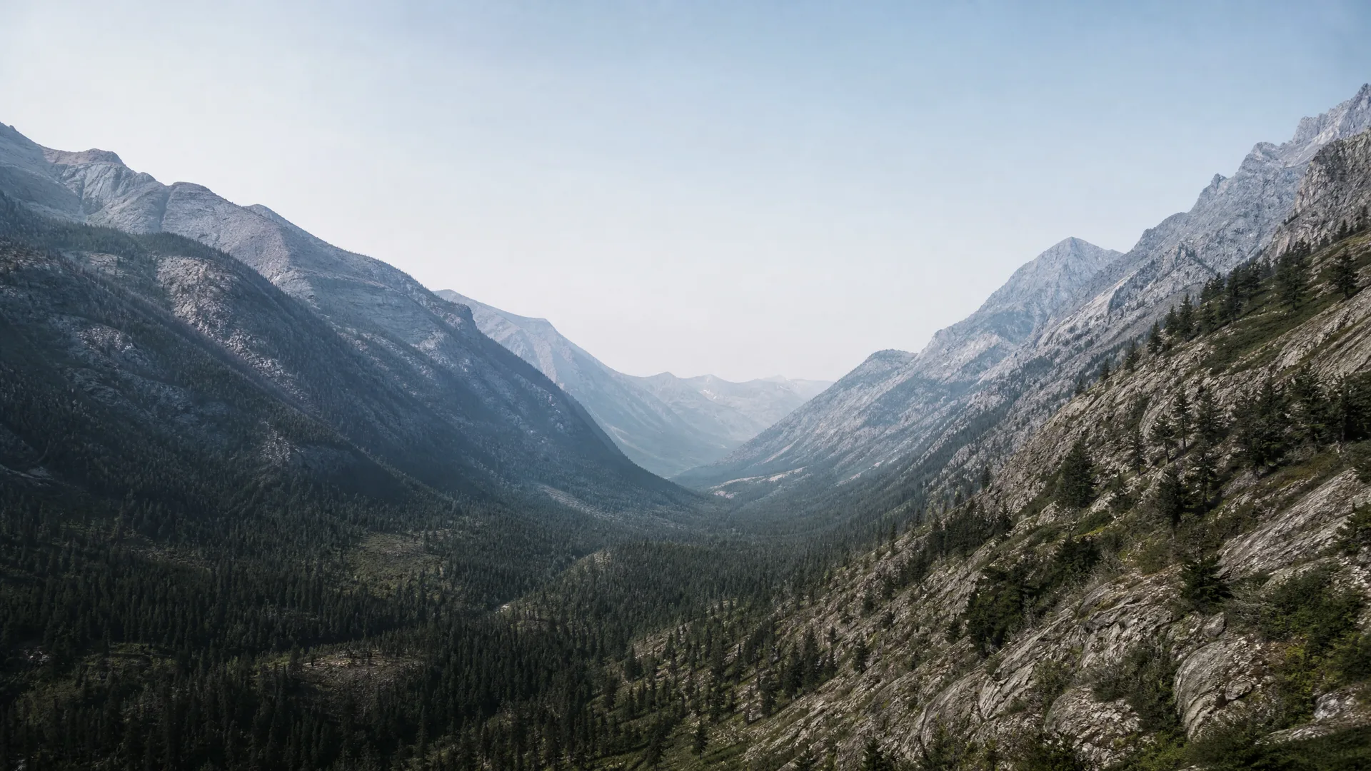 A glacial U-shaped valley flanked by rocky ridges and conifer-covered slopes, receding into haze under a pale clear sky.