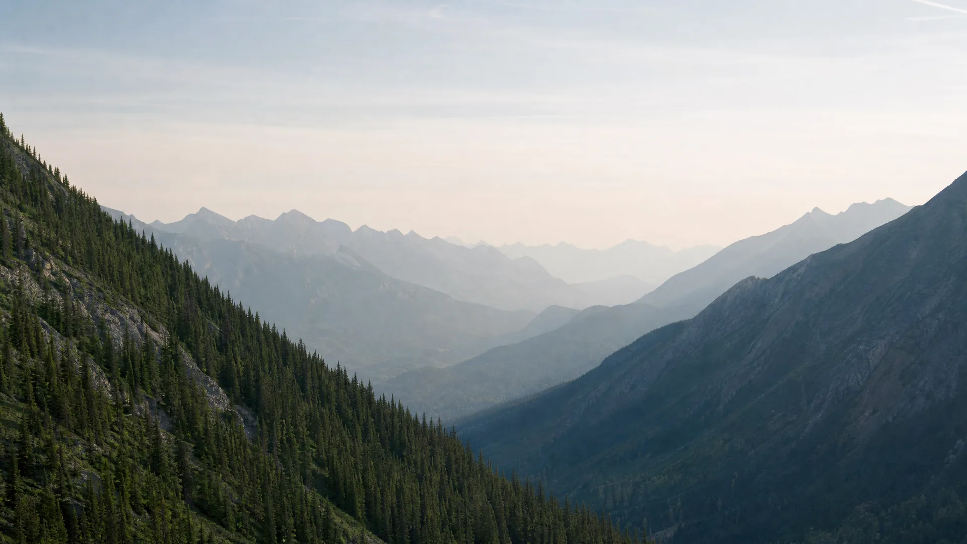 A hazy mountain valley with conifer-covered slopes in the foreground and receding ridgelines fading into pale sky.