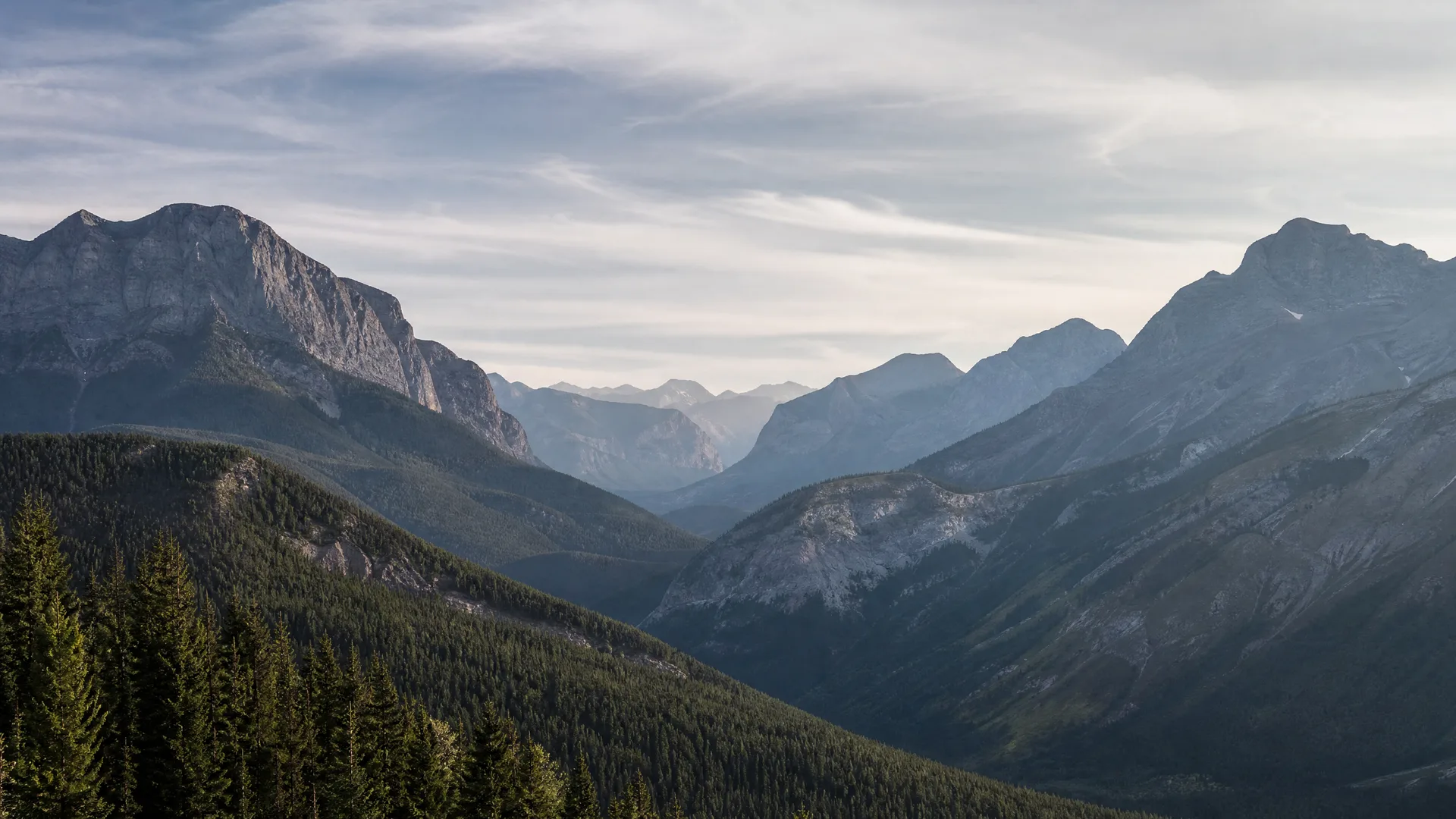A forested valley flanked by rocky mountain ridges receding into haze under a pale, lightly clouded sky, with conifer trees in the foreground.