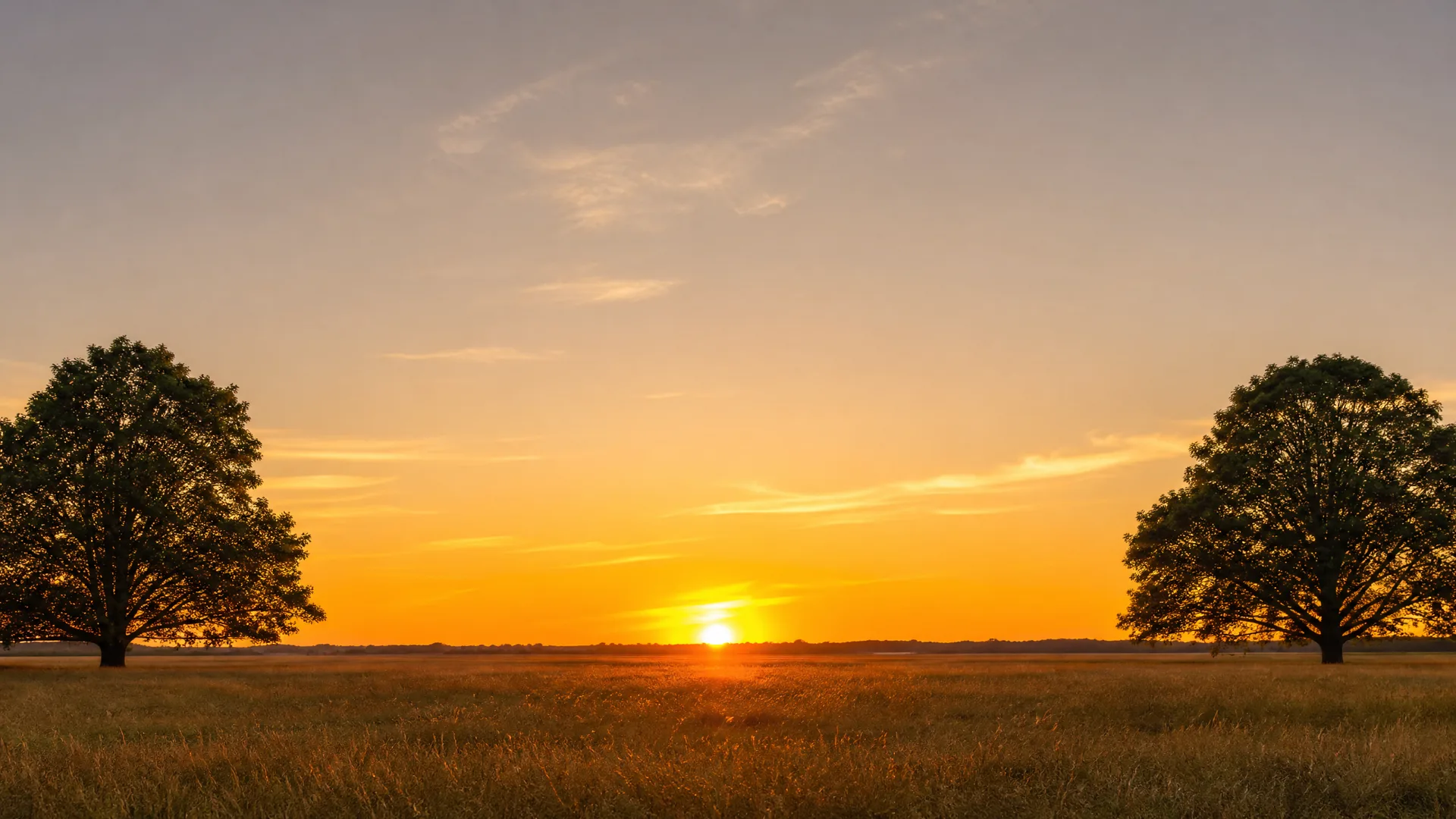 Two broad deciduous trees silhouetted on either side of a flat grassy field at sunset, with the sun low on the horizon under an orange and blue sky.