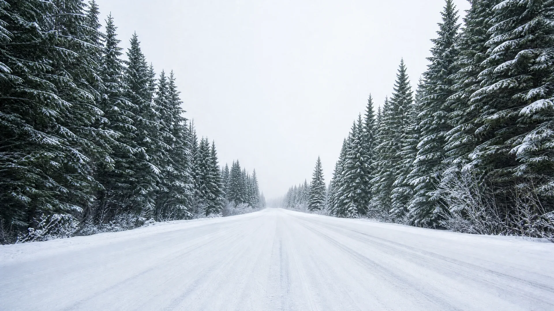 A snow-covered road running straight toward a foggy horizon, lined on both sides by snow-dusted conifer trees under an overcast white sky.