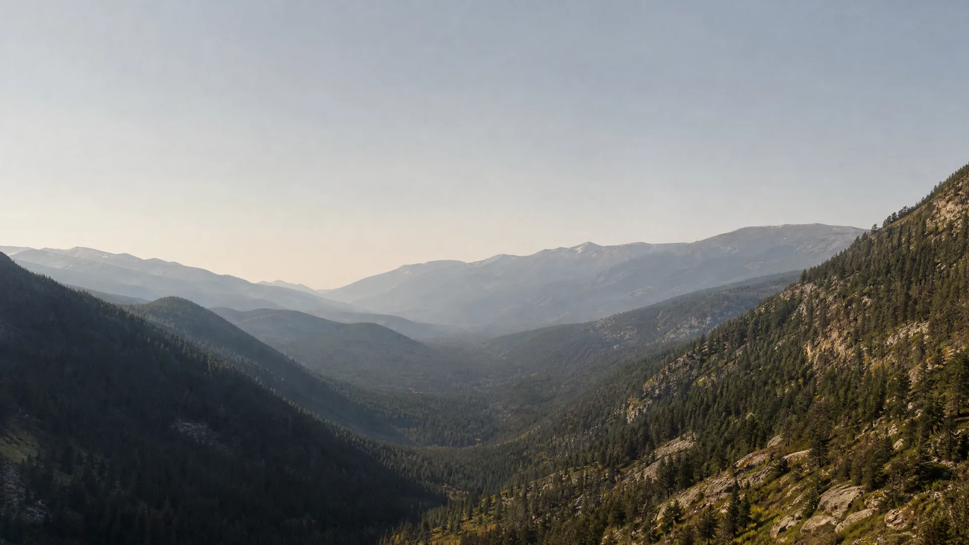 A hazy mountain valley lined with conifer forest, with rocky slopes in the foreground and receding ridgelines fading into pale sky.