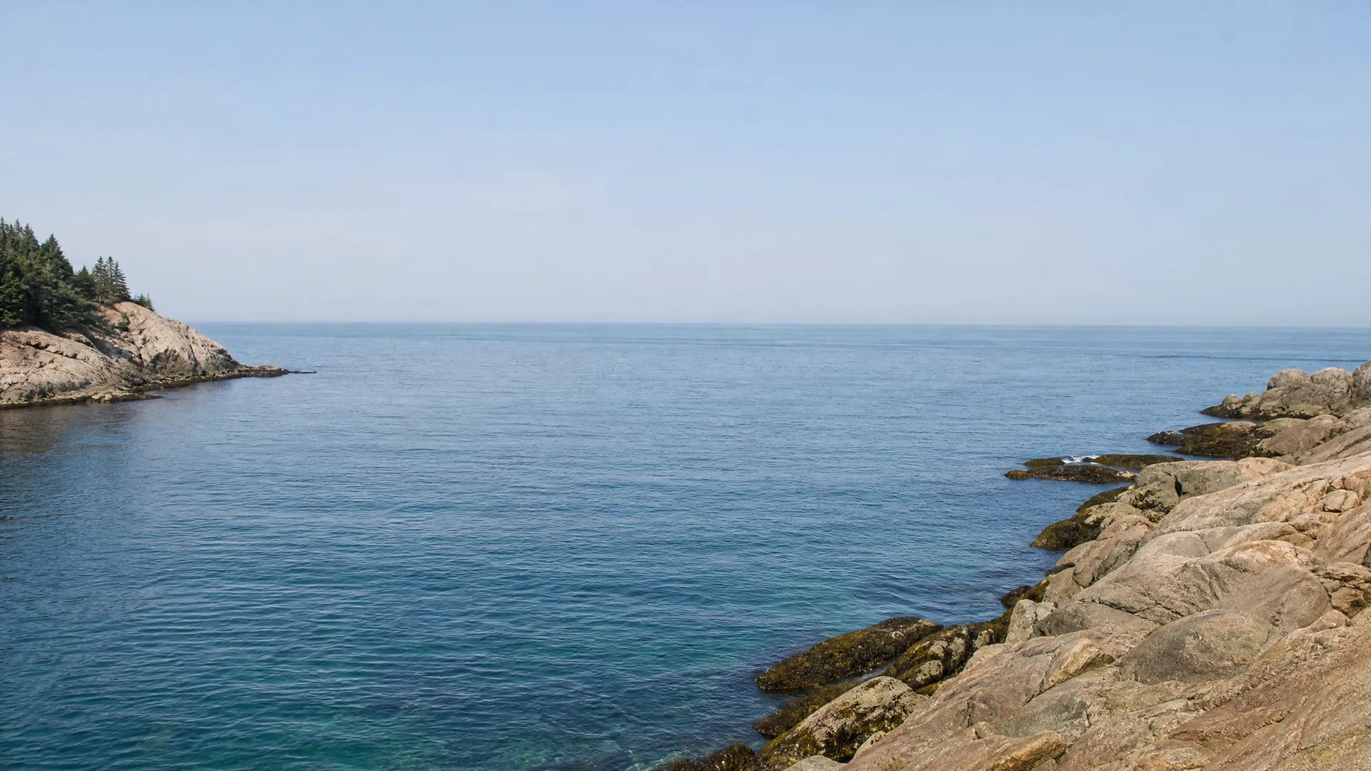 A calm blue sea under a clear sky, bordered by bare rocky shoreline on the right and a low conifer-topped headland on the left.
