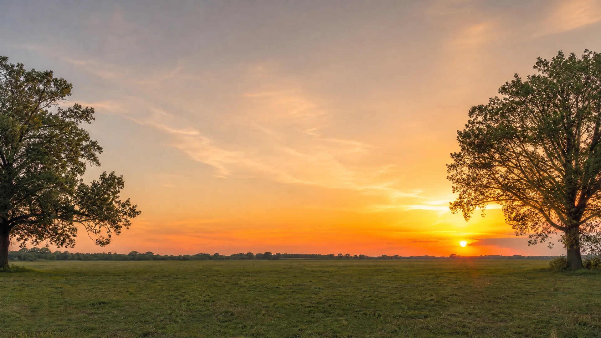 A flat grassy field with two large broadleaf trees framing the left and right edges, under an orange and blue sky at sunset with the sun low near the distant tree line.