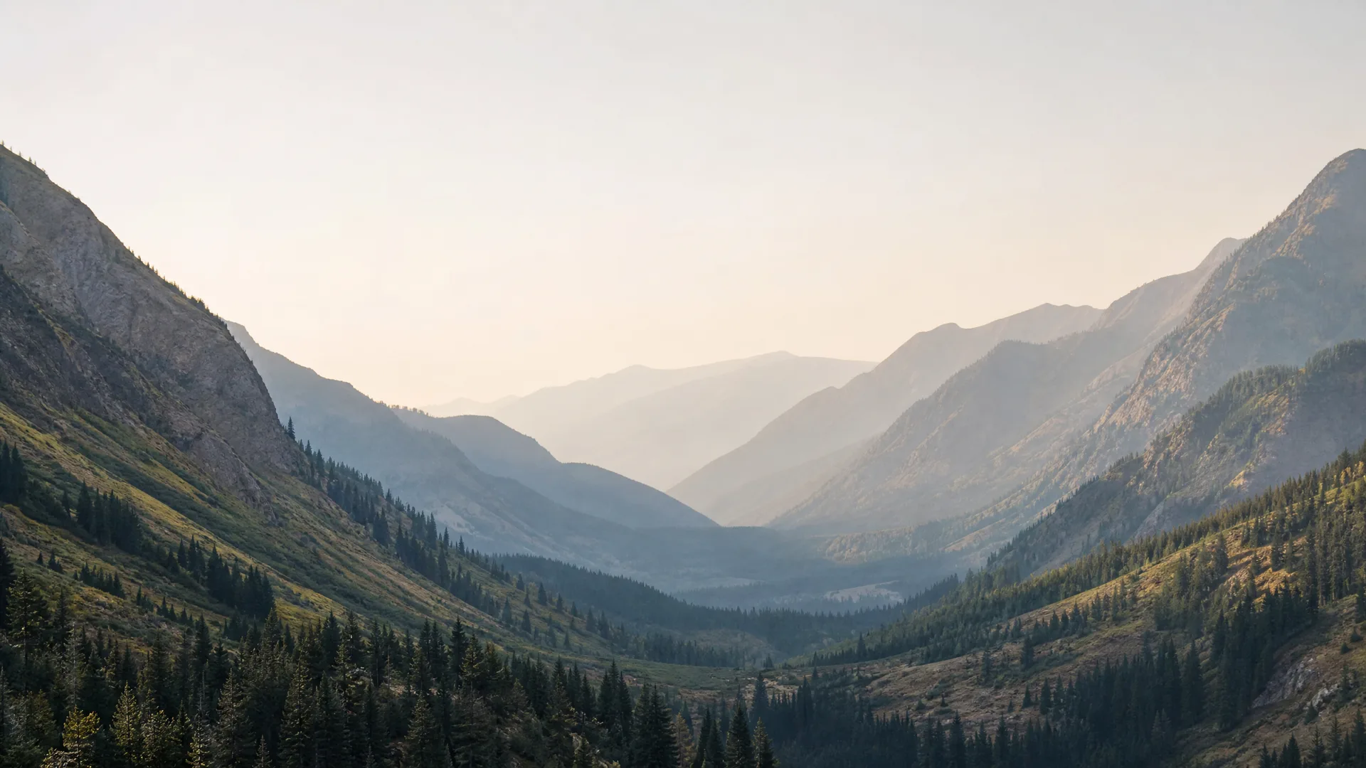 A hazy mountain valley lined with conifer forest and grassy slopes, with layered ridges receding into pale sky.