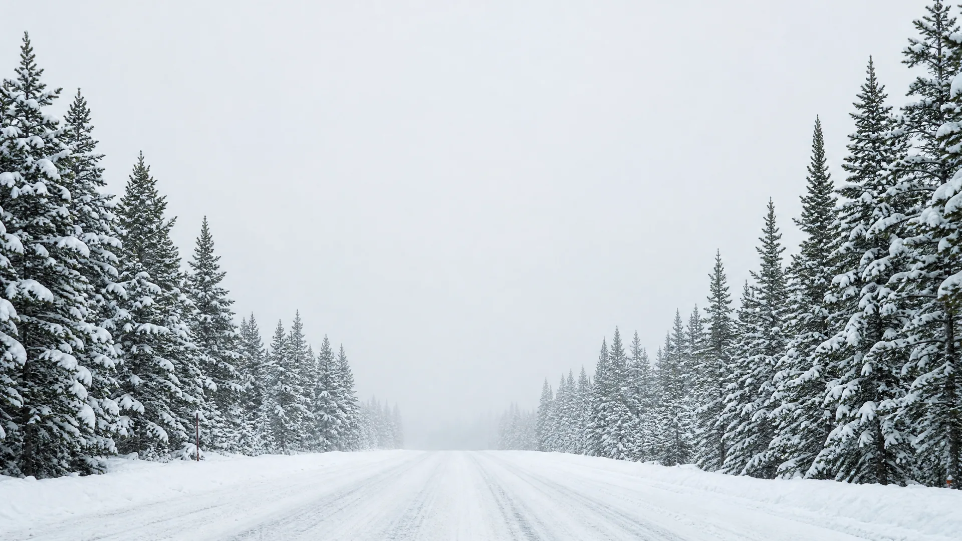 A snow-covered road with tire tracks runs between rows of snow-laden evergreen trees under a pale overcast sky.
