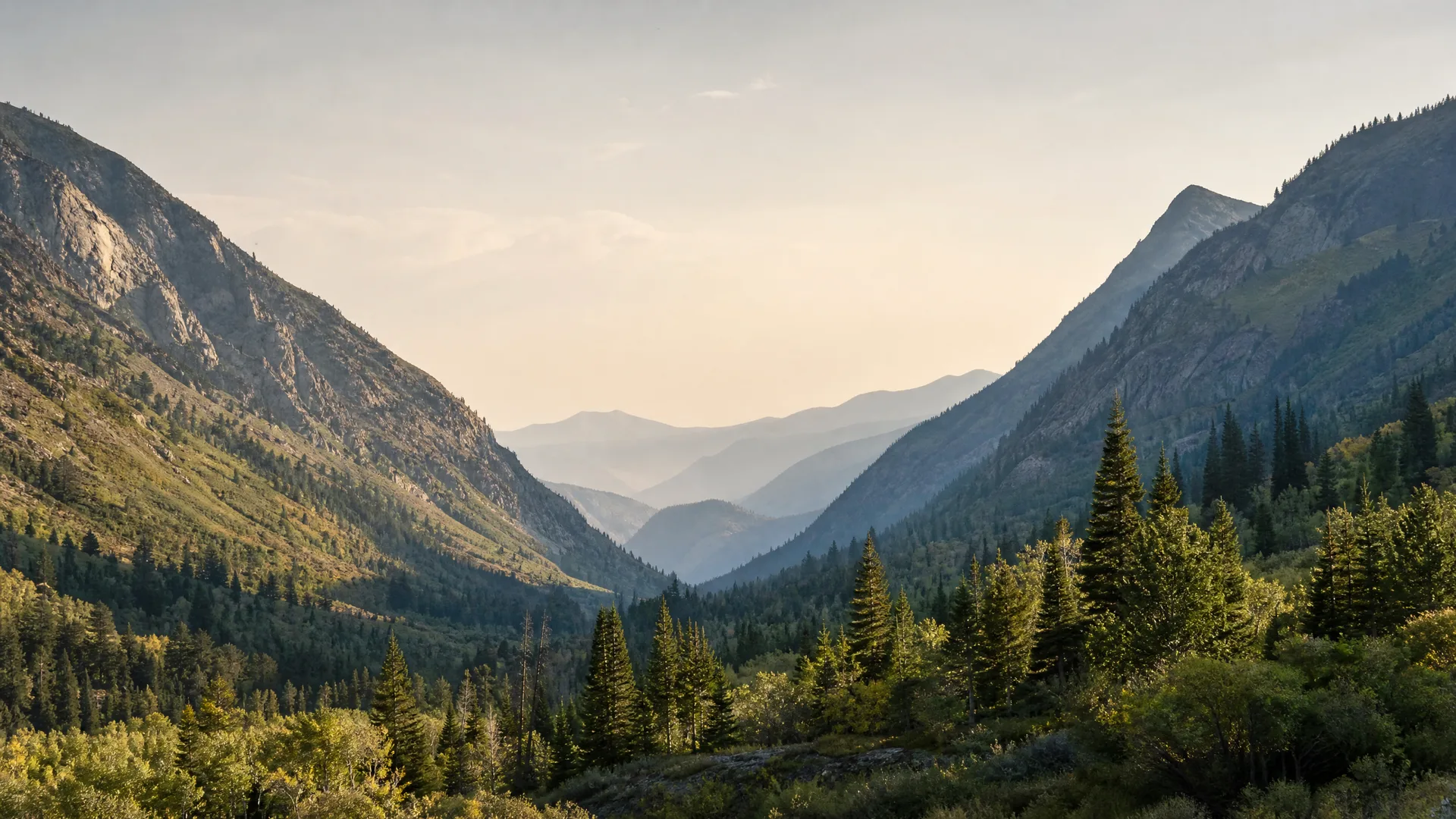 A forested mountain valley with conifers in the foreground and hazy ridgelines receding under a pale sky.