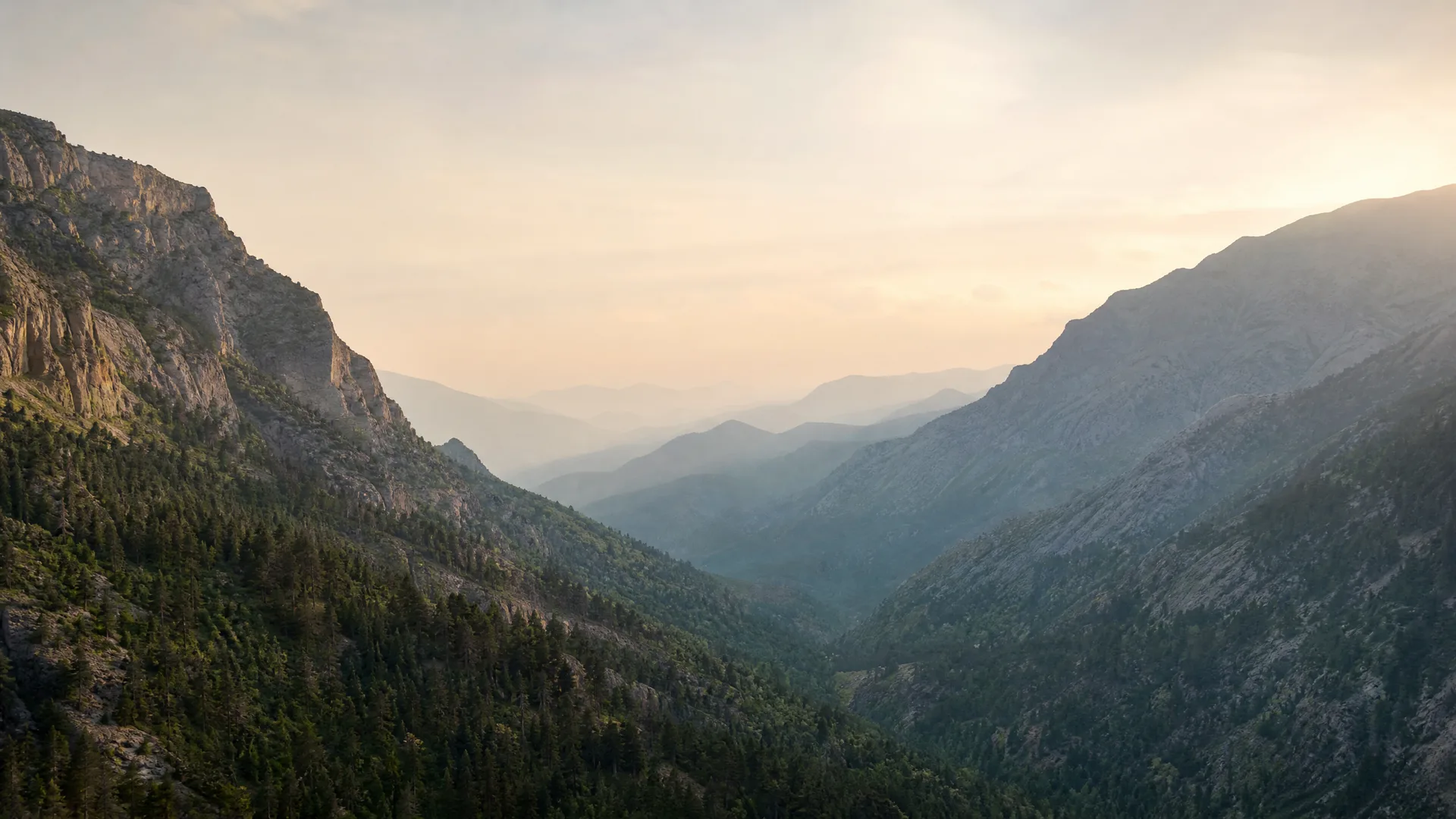 A hazy mountain valley at low sun, with conifer-covered slopes in the foreground and receding ridgelines fading into pale sky.