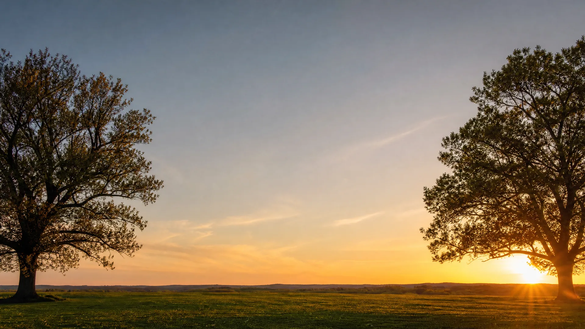 Two large broadleaf trees flank a grassy field at sunset, with the sun low behind the right tree and a clear gradient sky above a flat distant horizon.