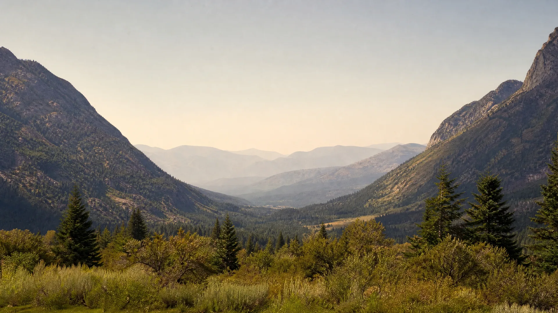 A hazy mountain valley framed by forested ridges, with conifers and low shrubs in the foreground and receding blue ridgelines under a pale sky.