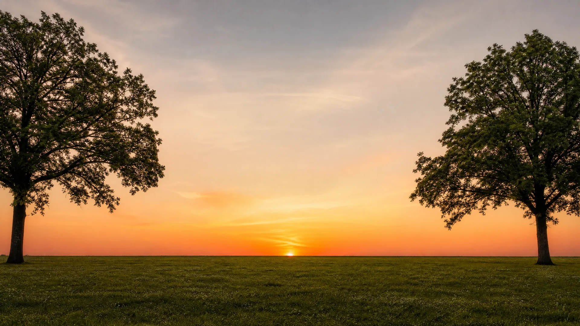Two large leafy trees frame the left and right edges of a flat grassy field, with the sun setting on a flat horizon under an orange and pale blue sky.