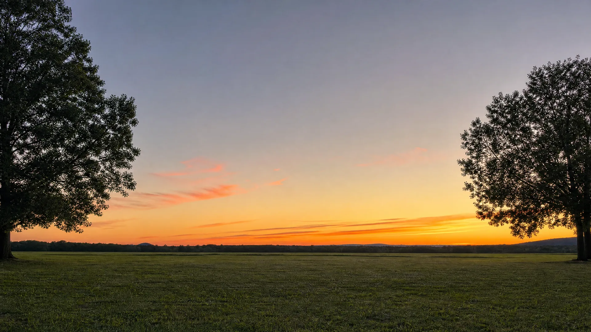 A wide grassy field at sunset with two large silhouetted trees framing the left and right edges, a low distant treeline, and orange and pink clouds in a blue sky.