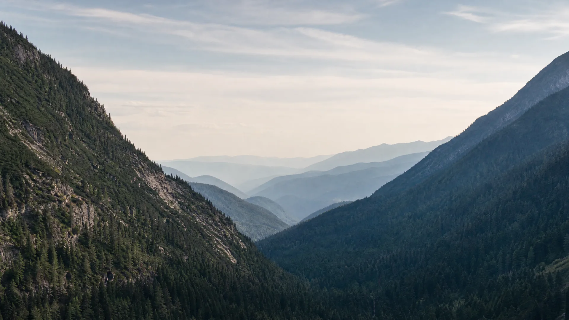A forested mountain valley with steep conifer-covered slopes on both sides and layered hazy ridges receding toward a pale sky.