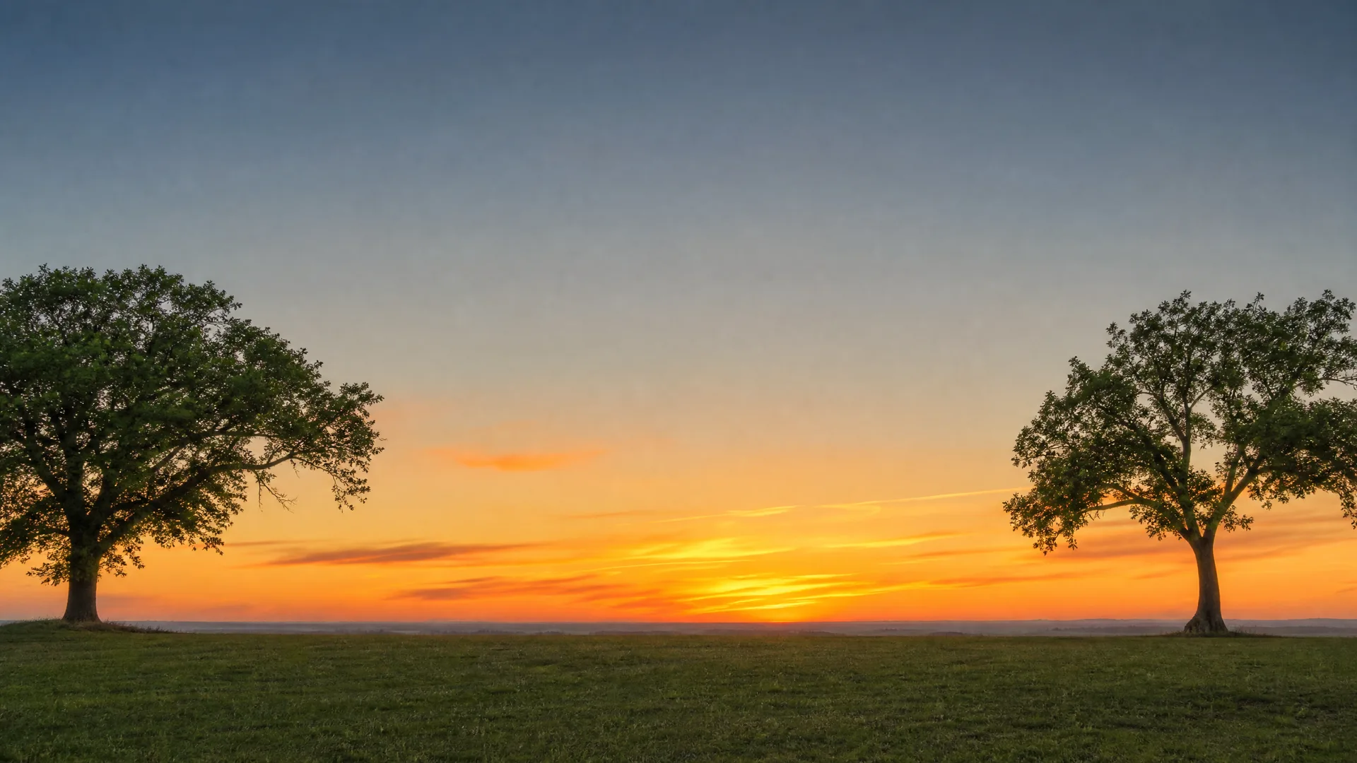 Two broad-crowned trees stand at opposite edges of a flat grassy field under a clear sky with an orange sunset glow along the distant horizon.