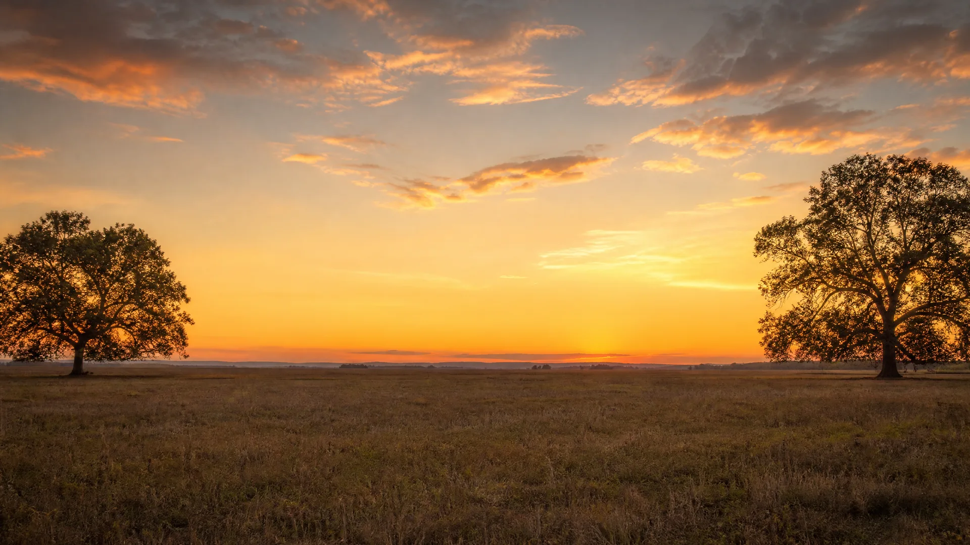 A flat grassy field with two large broad-crowned trees at the left and right edges, under an orange and gray cloudy sky at sunset.