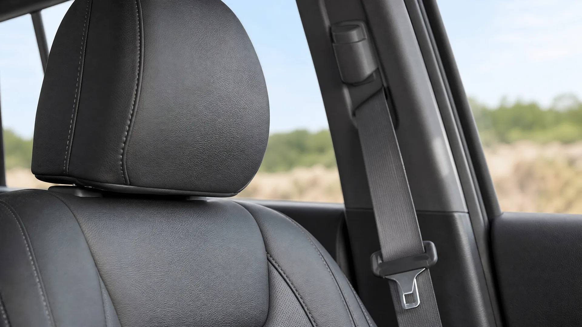 Close-up of a black leather car seat headrest and seat back beside a window with a seat belt on the pillar, with blurred green and tan vegetation outside.