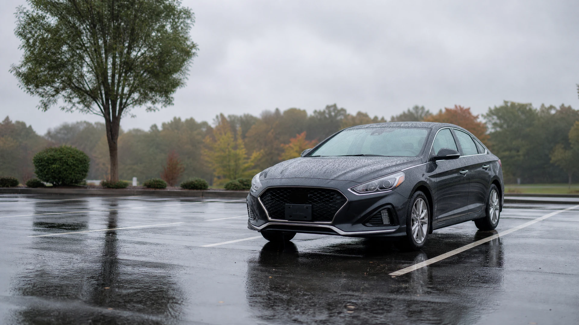 A dark gray sedan sits in a rain-slicked empty parking lot beneath an overcast sky, surrounded by autumn trees.