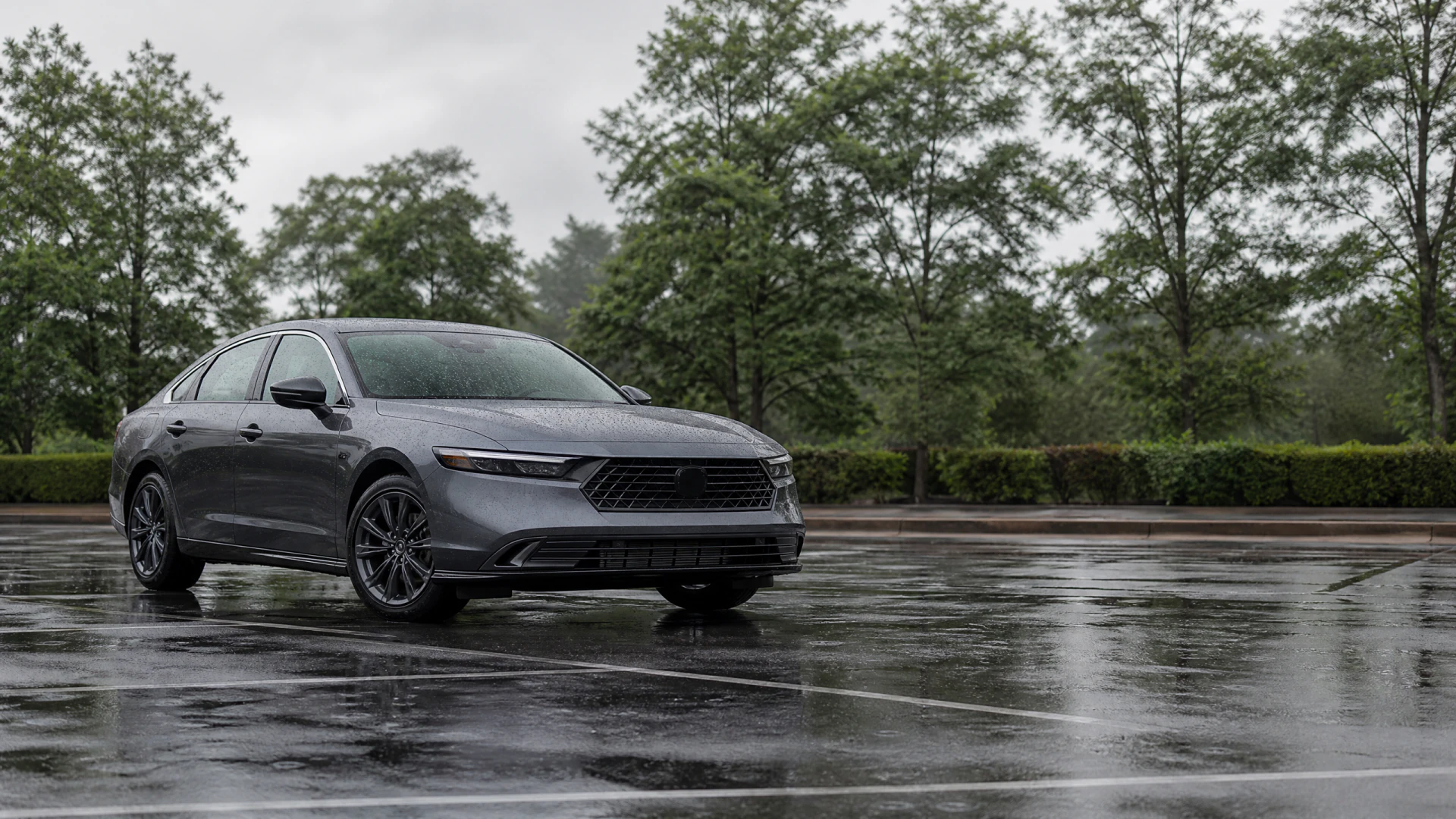 A gray four-door sedan sits alone on a rain-wet parking lot with green trees and hedges in the background.