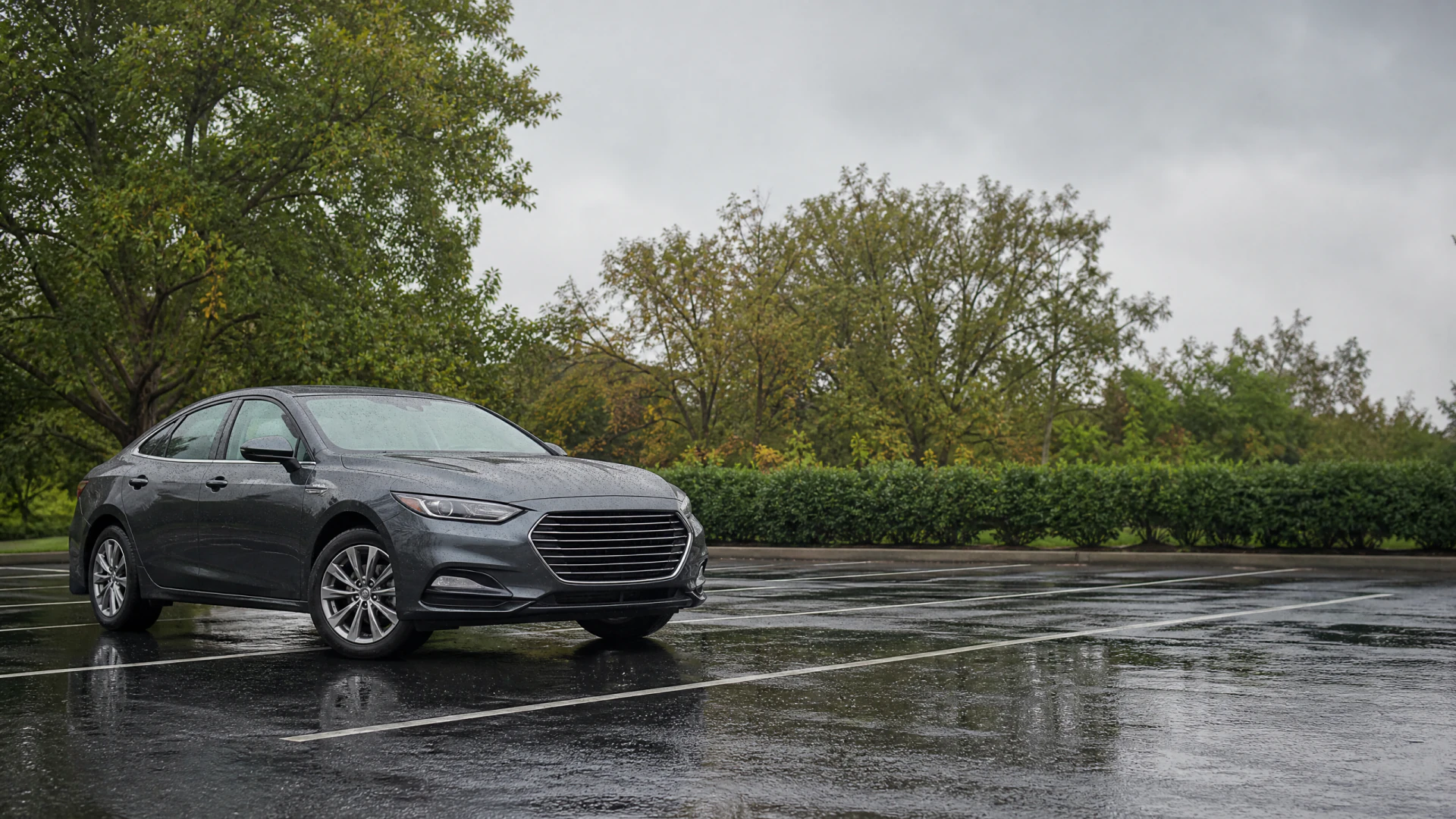 A gray sedan sits in a rain-soaked empty parking lot surrounded by green trees and hedges.